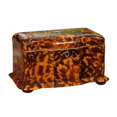 Early 19th Century English Regency Tortoiseshell Tea Caddy with Skirted Base