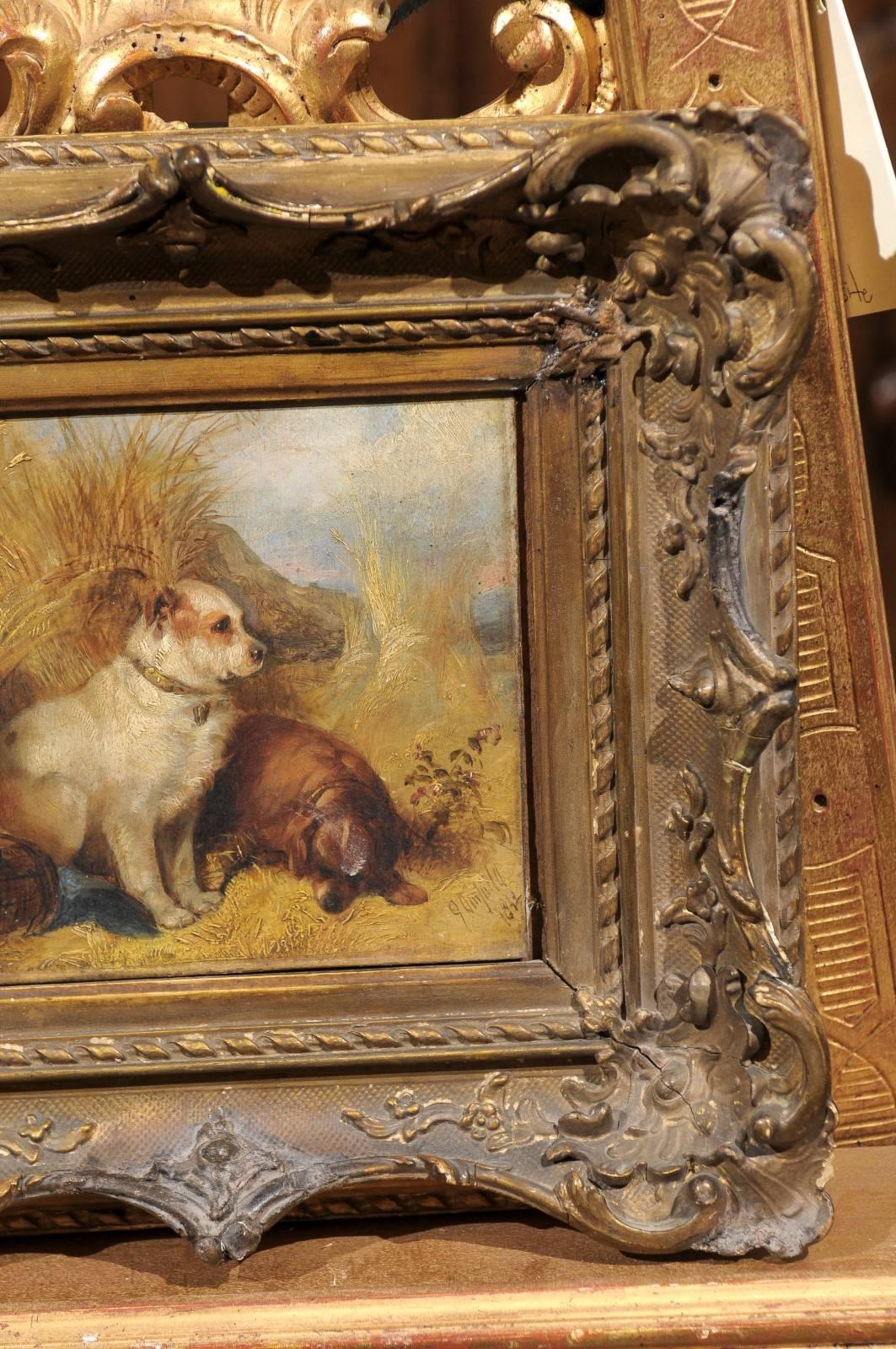 19th Century Oil on Canvas Painting of Dogs, signed by artist “George Armfield” 1