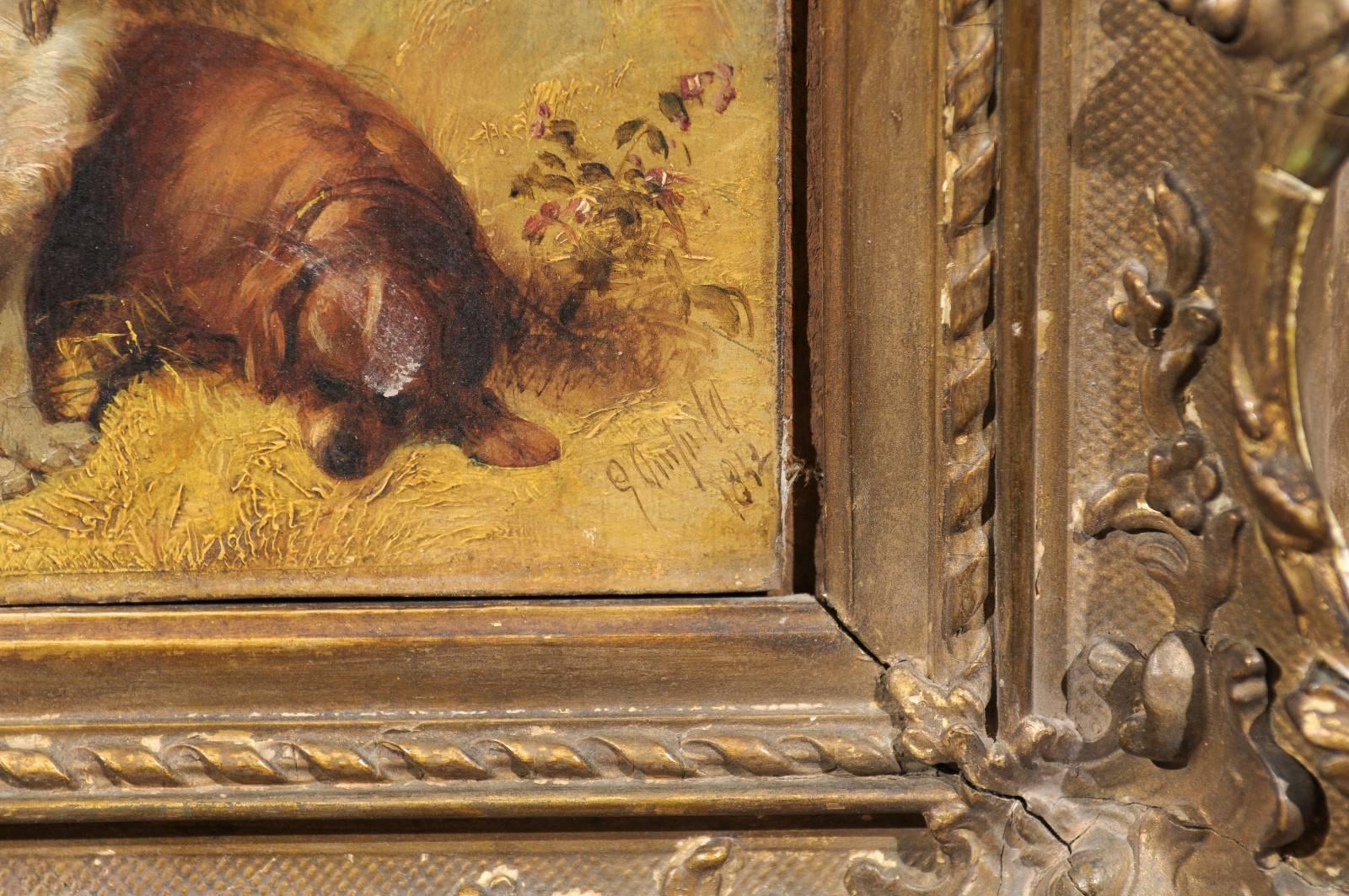 19th Century Oil on Canvas Painting of Dogs, signed by artist “George Armfield” 3