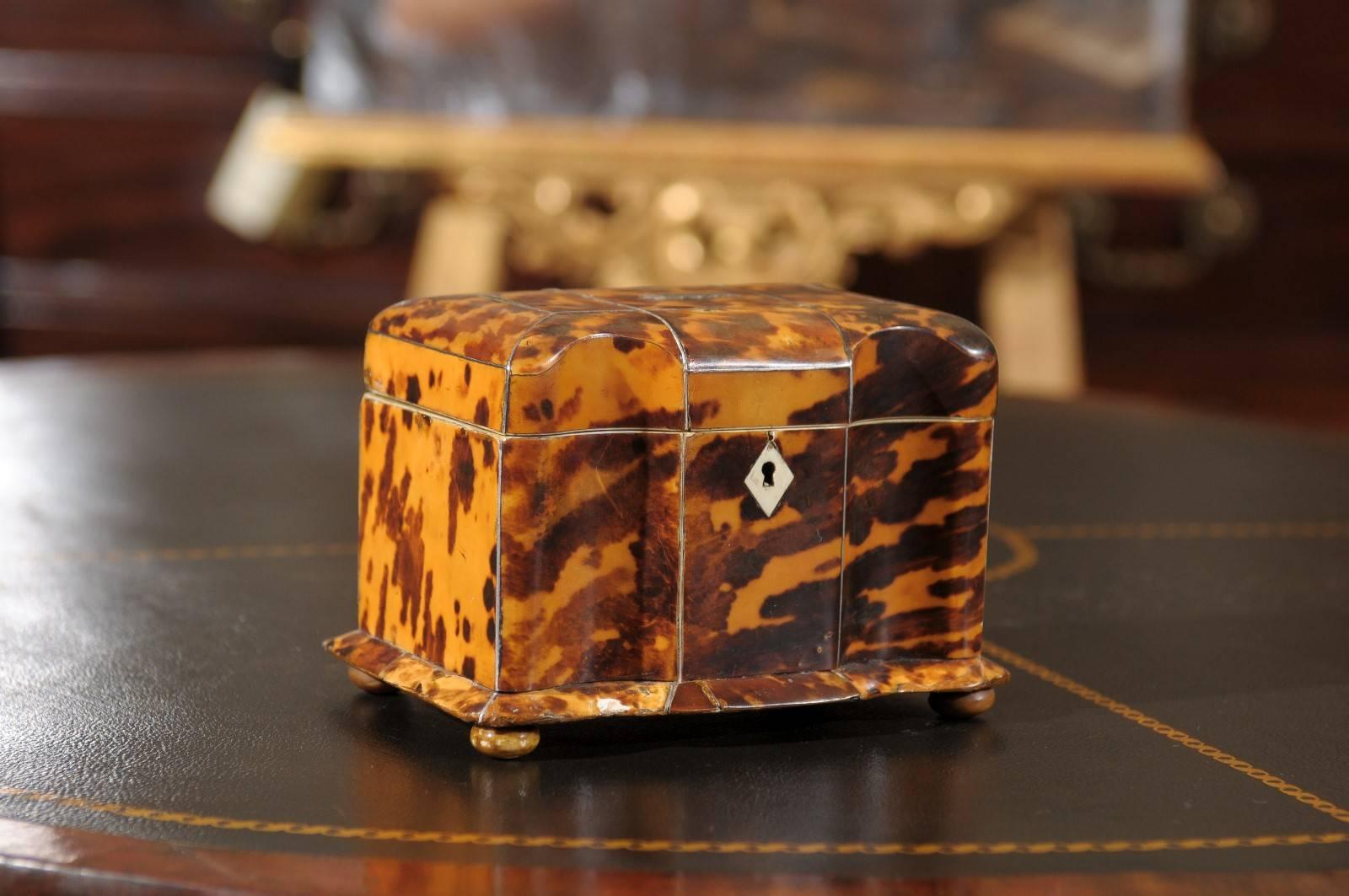 Regency Period Tortoiseshell Tea Caddy with Bun Feet and Two (2) Compartments, England 19th Century