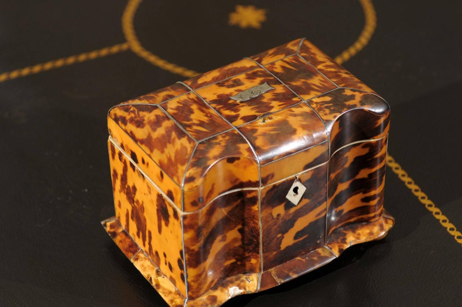 19th Century English Regency Tortoiseshell Tea Caddy 2