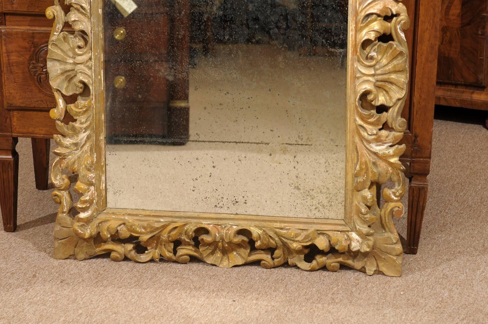 Rococo Style Italian Gilt-Wood Mirror, 19th Century 2