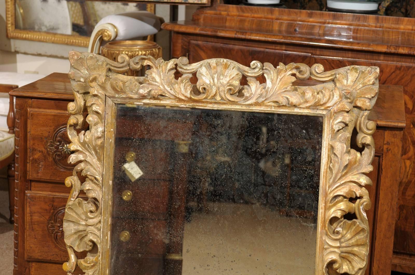 Rococo Style Italian Gilt-Wood Mirror, 19th Century 4