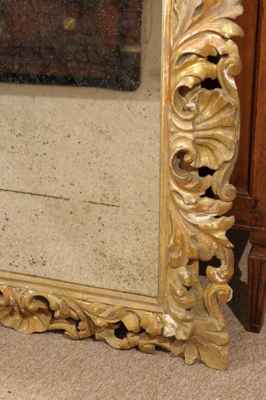Rococo Style Italian Gilt-Wood Mirror, 19th Century 5