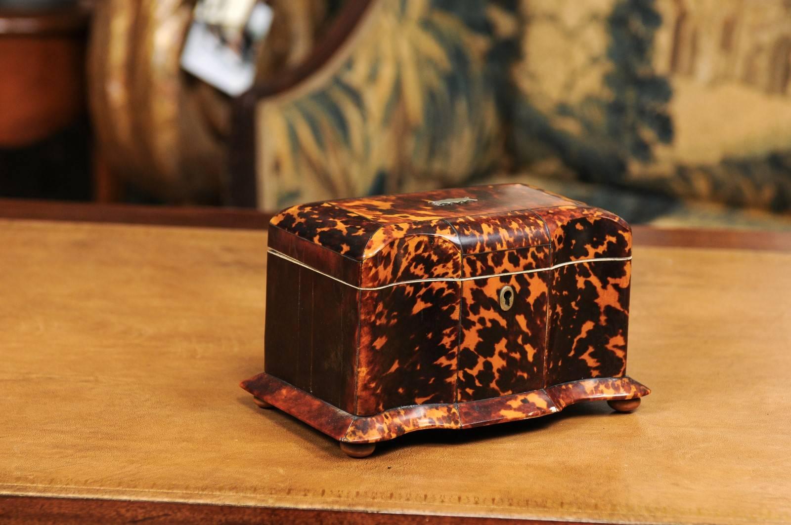 Regency period tortoiseshell tea caddy with skirted base and bun feet, England, early 19th century.