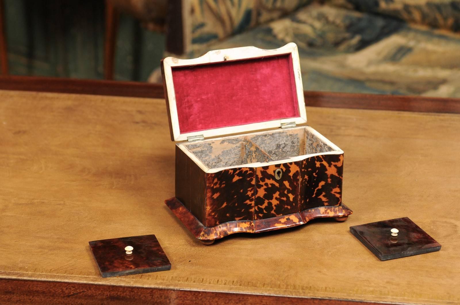 Early 19th Century English Regency Tortoiseshell Tea Caddy with Bun Feet 1