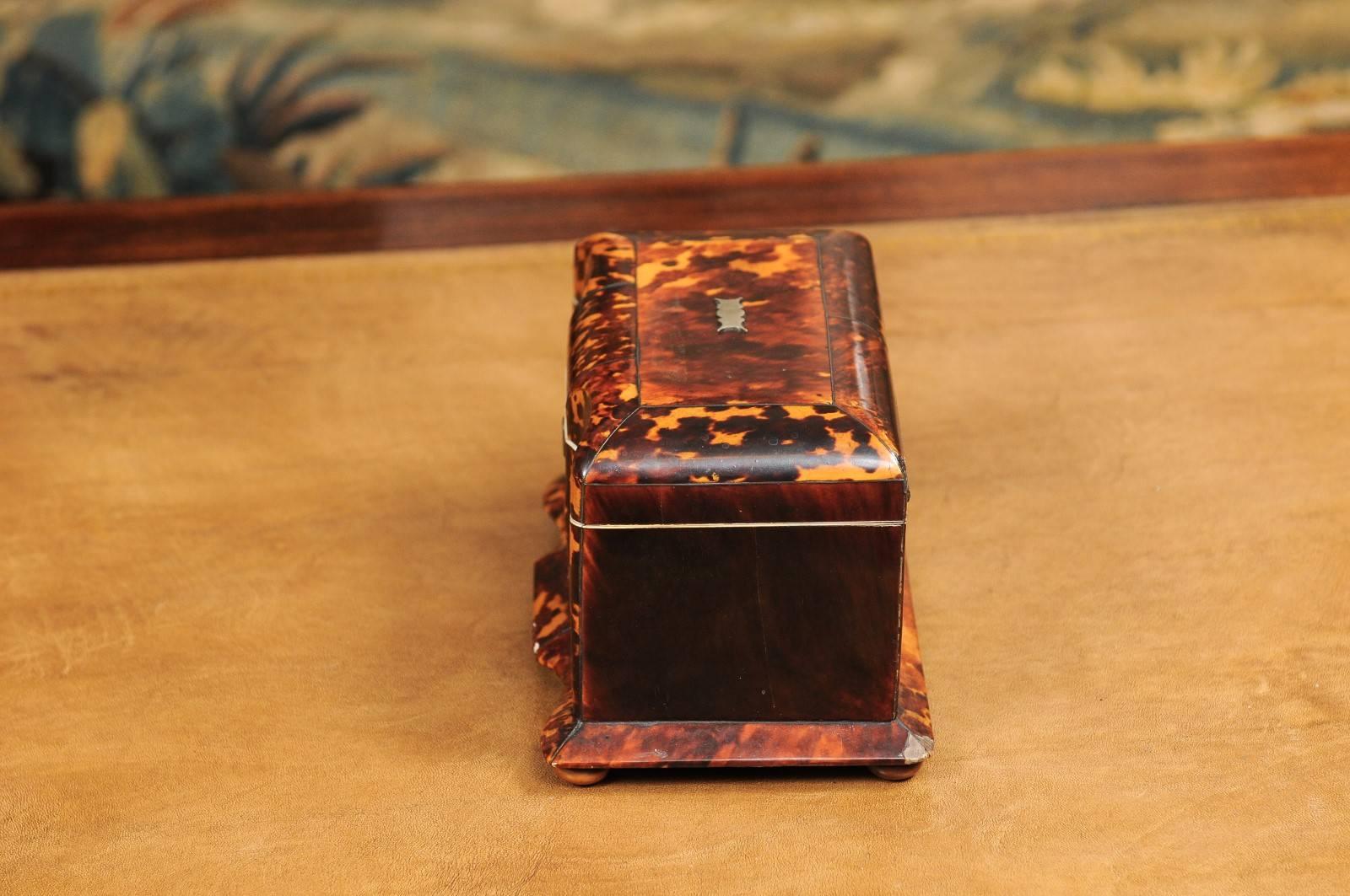 Early 19th Century English Regency Tortoiseshell Tea Caddy with Bun Feet 3