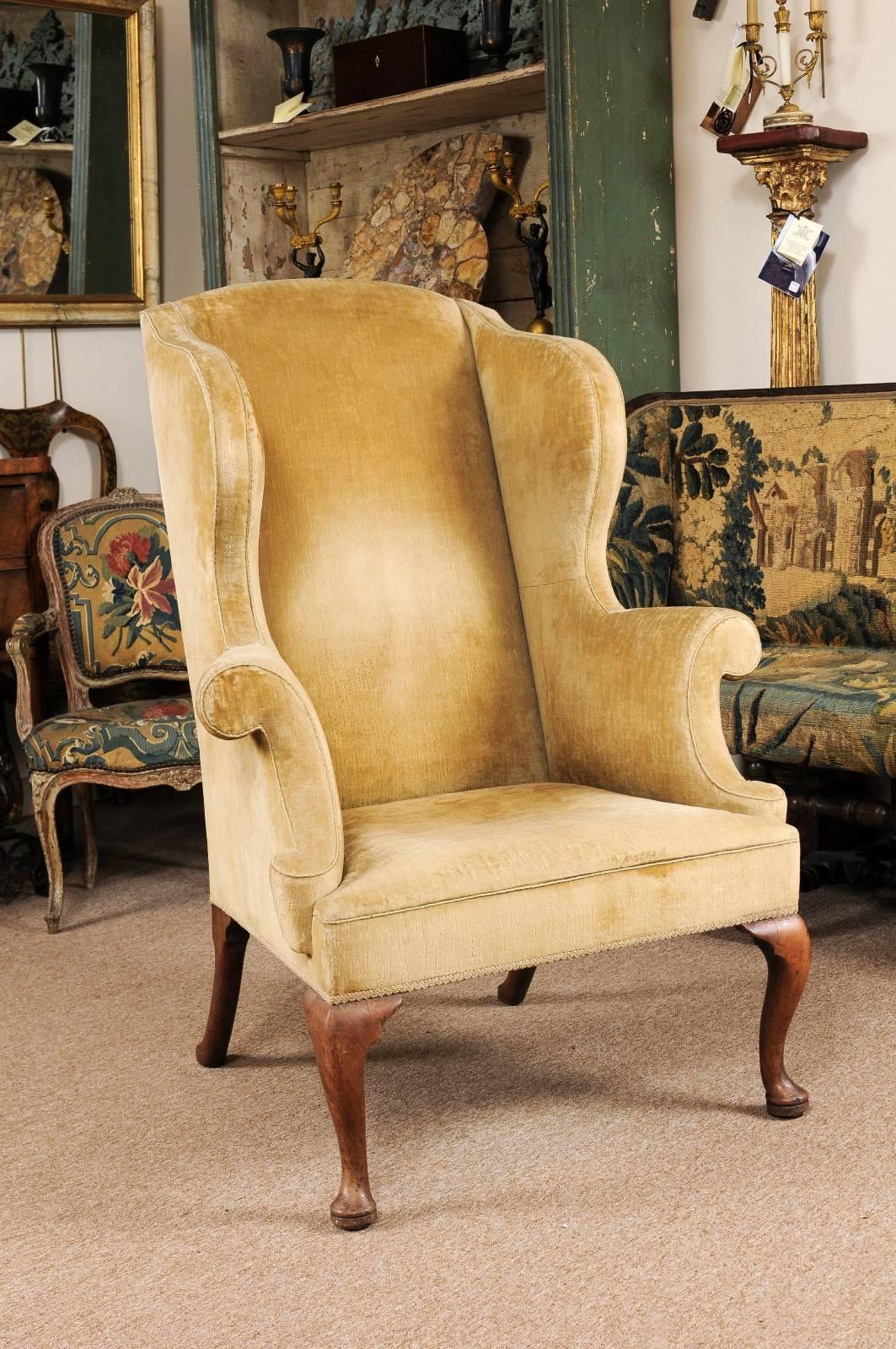 Queen Anne Style walnut wing chair in gold velvet upholstery with high back, cabriole legs and pad feet. 