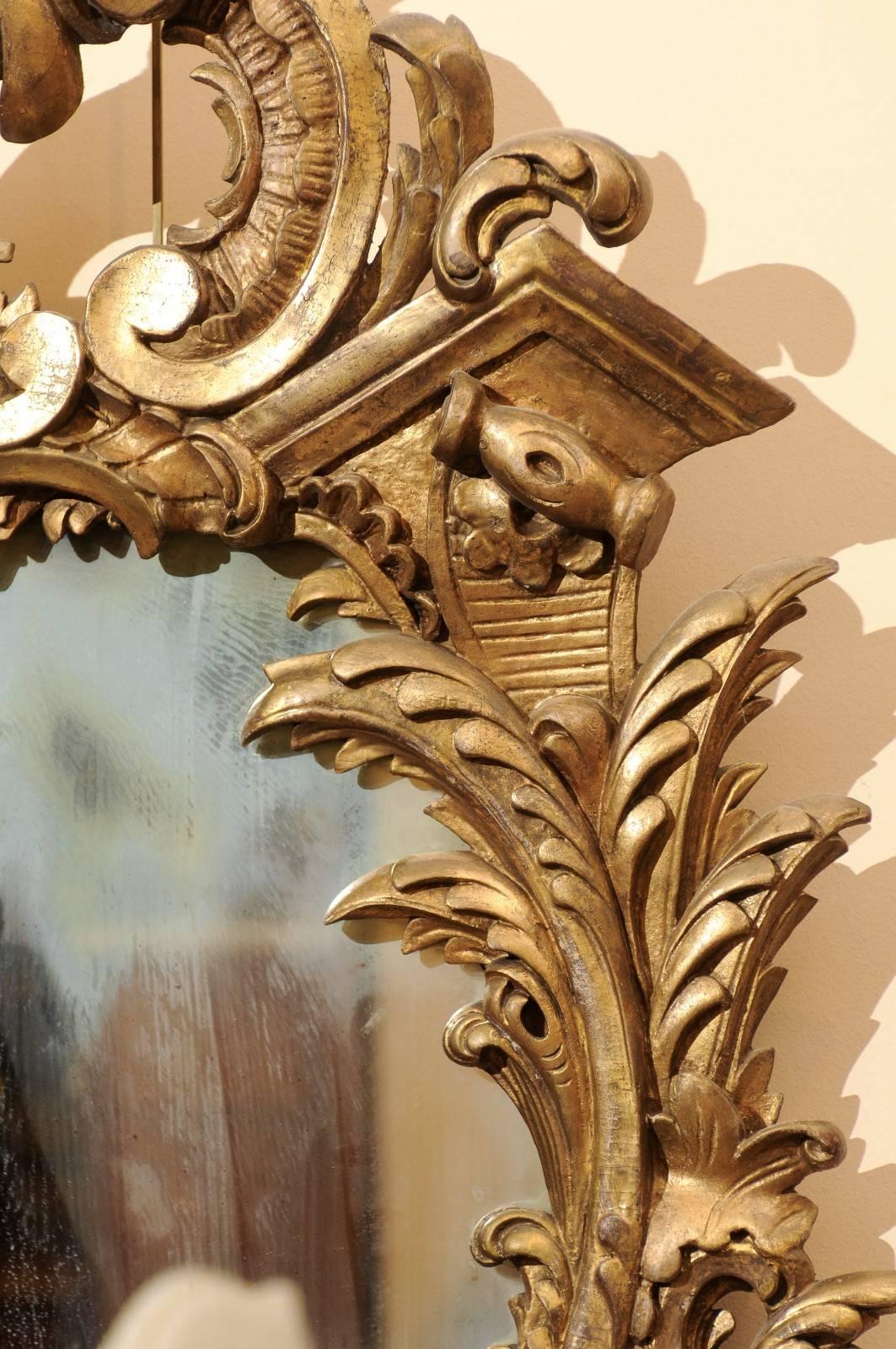 Mid-19th Century Italian Giltwood Rococo Style Mirror 4
