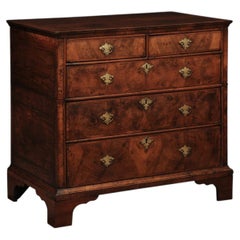 18th Century English Walnut Chest with 5 Drawers and Bracket Feet, Later Veneere