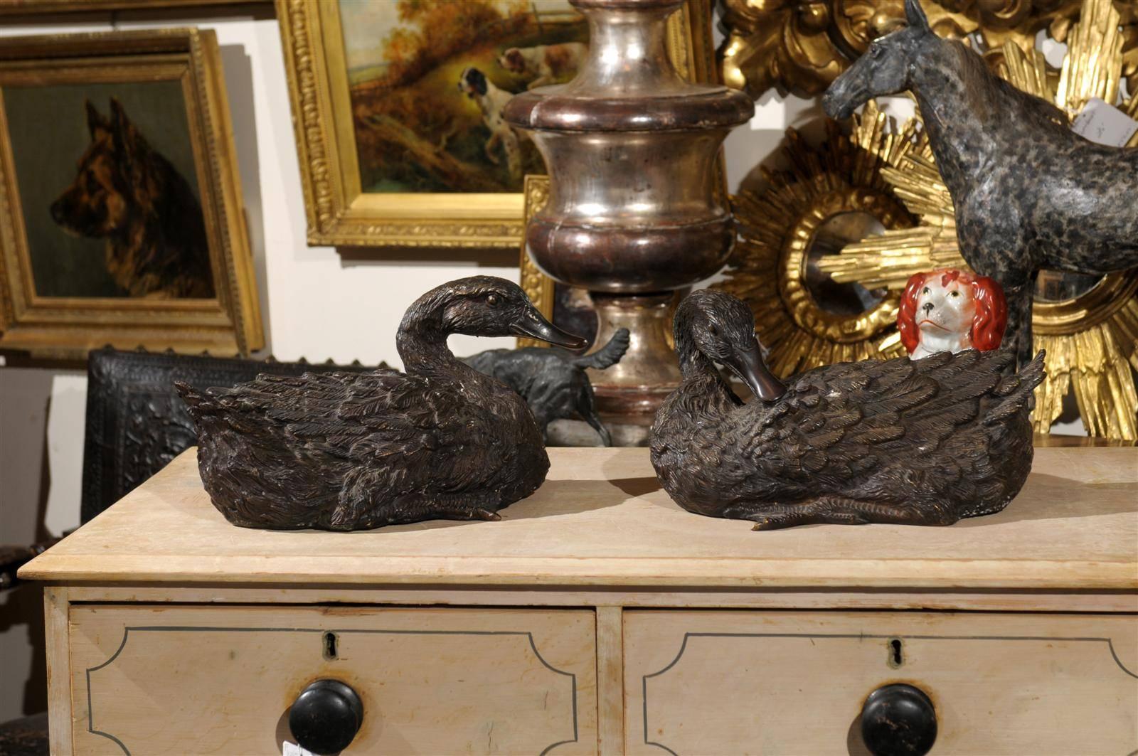 Pair of bronze ducks with great patina.
