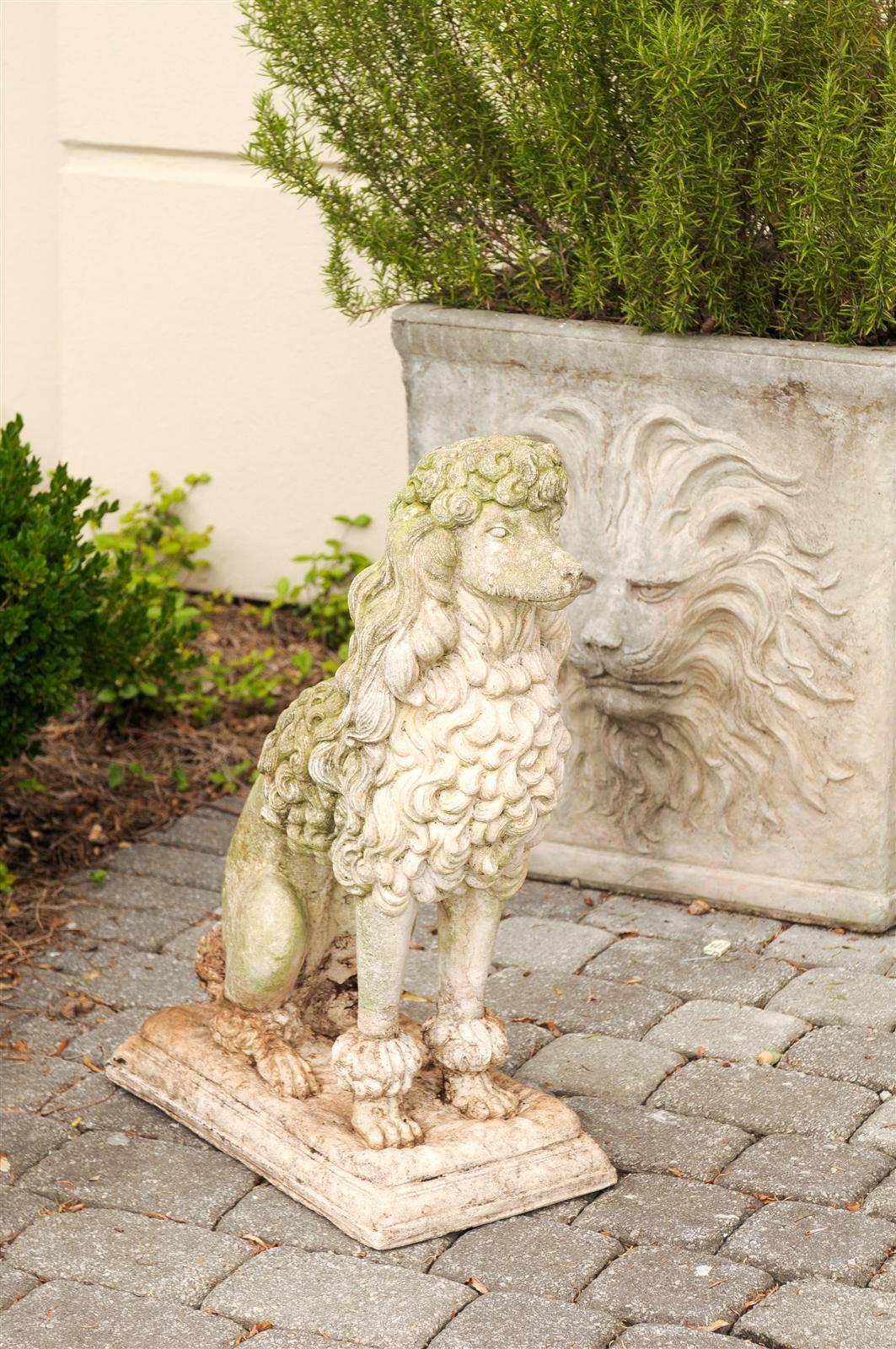 This English stone dog sculpture from the middle of the 20th century features a nicely groomed poodle. This sculpture is richly carved, with the poodle’s coat chock full of delicate curls. As if it were itself royalty, the dog sits in an
