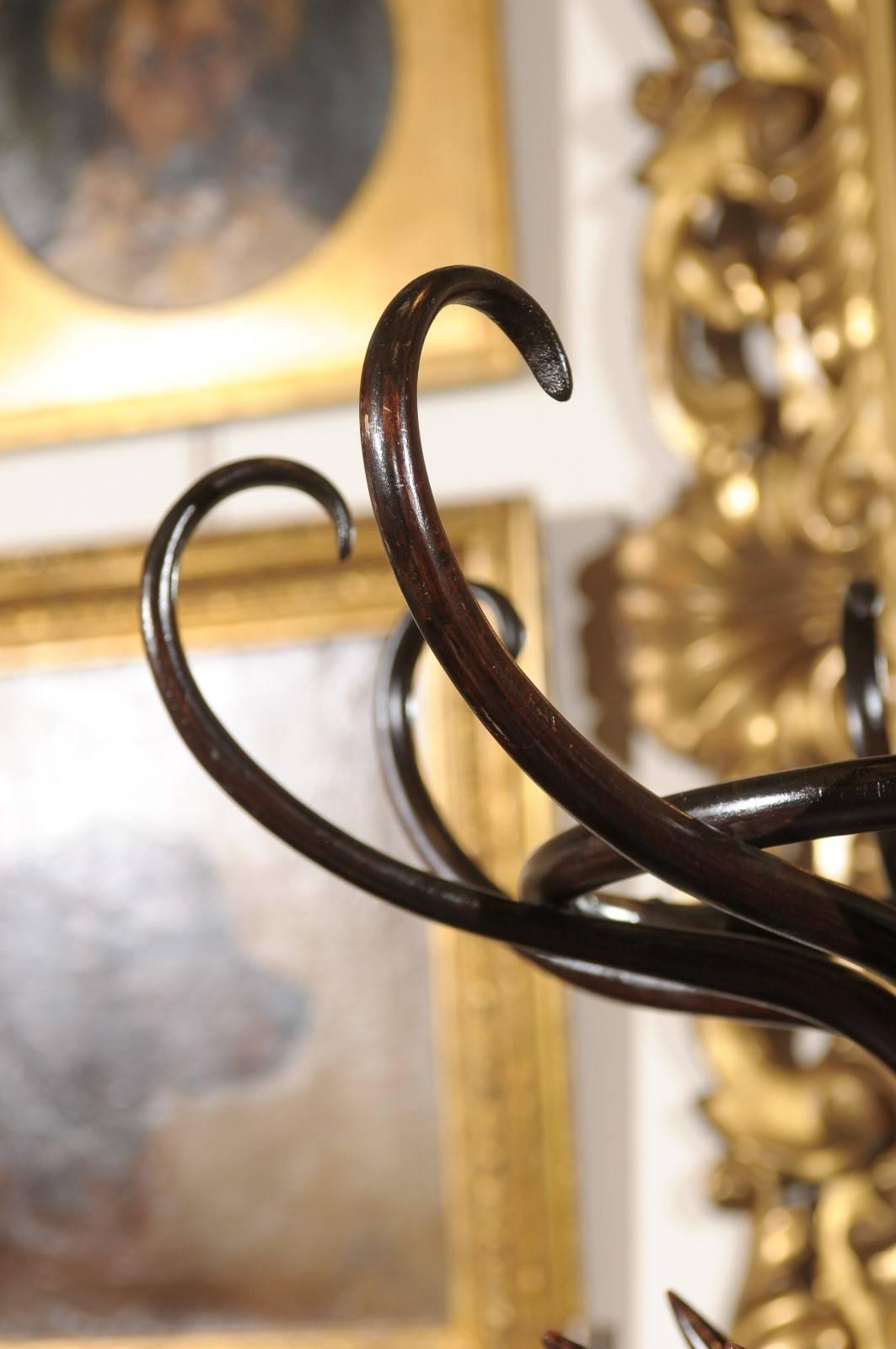 19th Century English Twelve-Hook Bentwood Hall Tree in the Style of Thonet 5