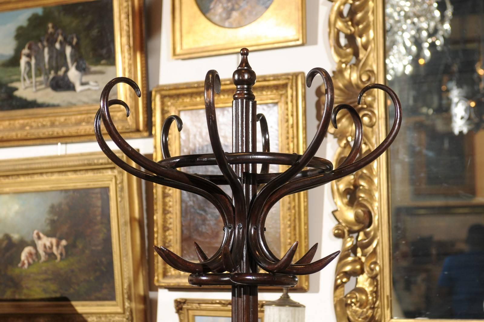 19th Century English Twelve-Hook Bentwood Hall Tree in the Style of Thonet In Good Condition In Atlanta, GA