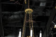 French Small Empire style Chandelier with Gold Colored Eagle Arms, Early 1900s