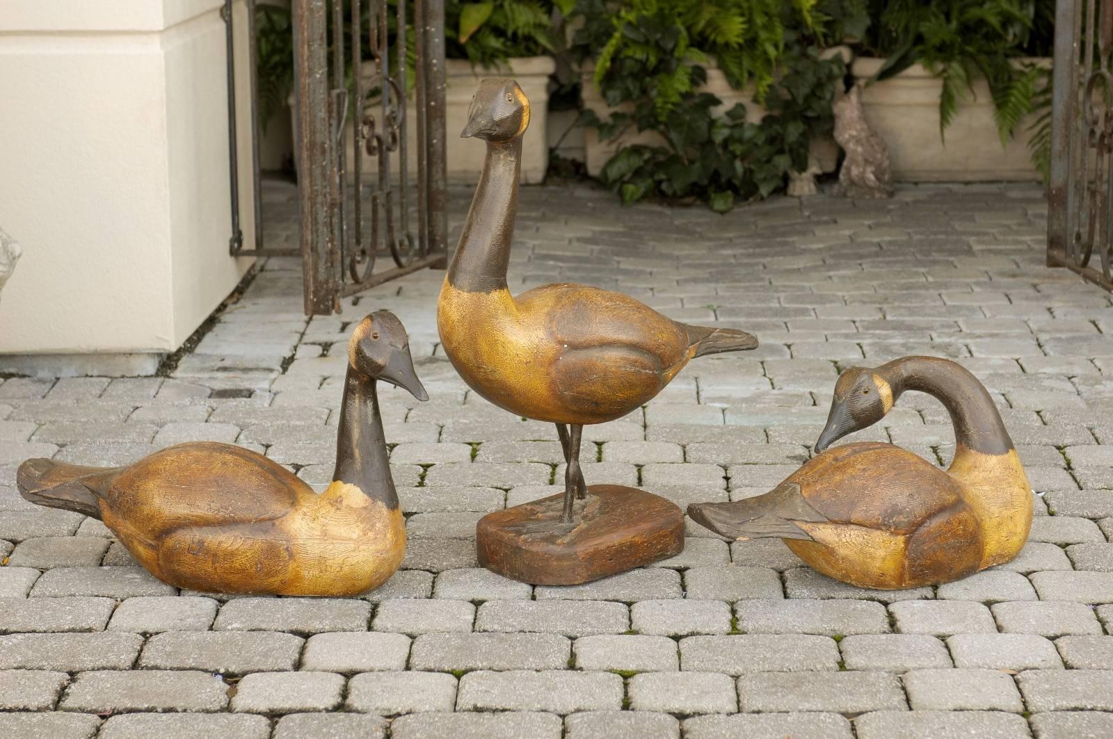 This is a set of three life-size wood carved black-necked geese painted in different shades of light and dark brown from the Turn of the Century. One stands proudly on a rounded square base with an upward curious gaze with carved eyes and a