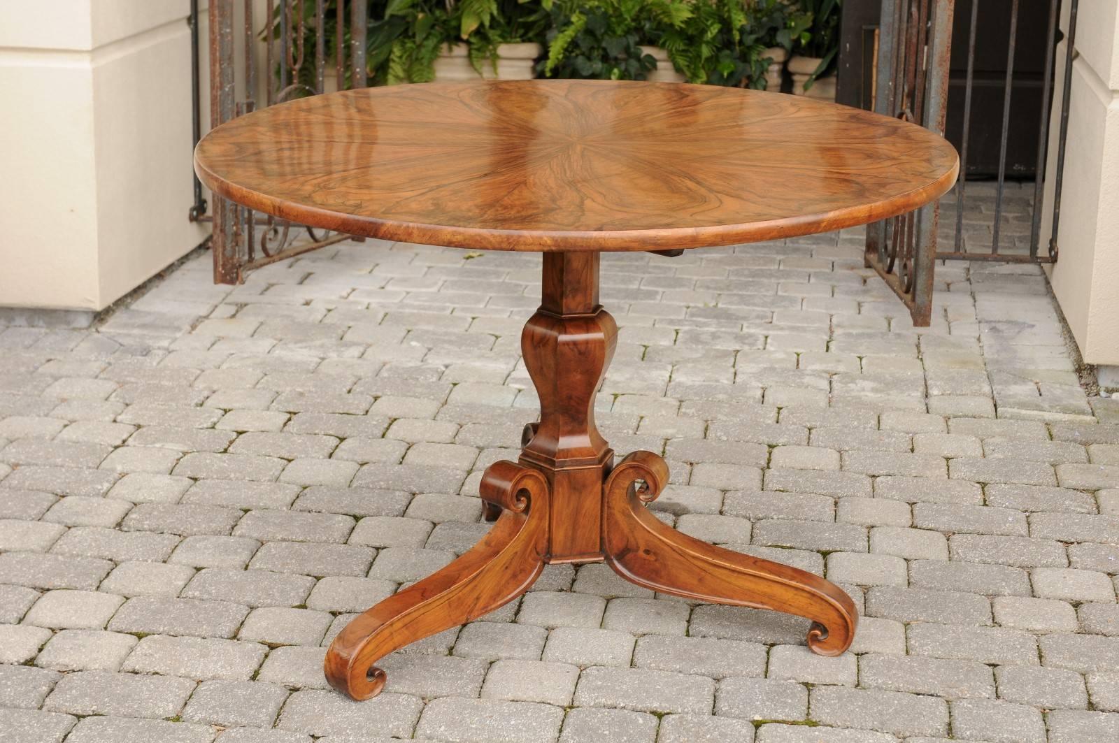 This Biedermeier pedestal from Austria features an exquisite burl walnut circular top. The grain gives it an almost floral, rosette type motif. The central turned pedestal is raised on tripod base, made of delicate volutes. The Biedermeier style was