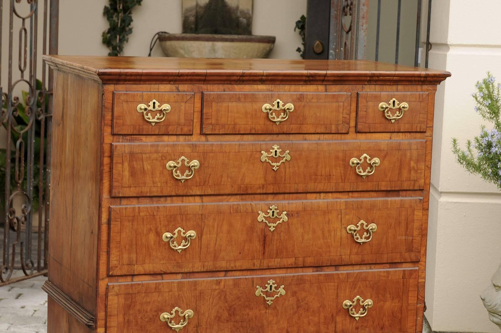 English Tall Walnut Chest from the Early 19th Century with Butterfly Veneer Top 4