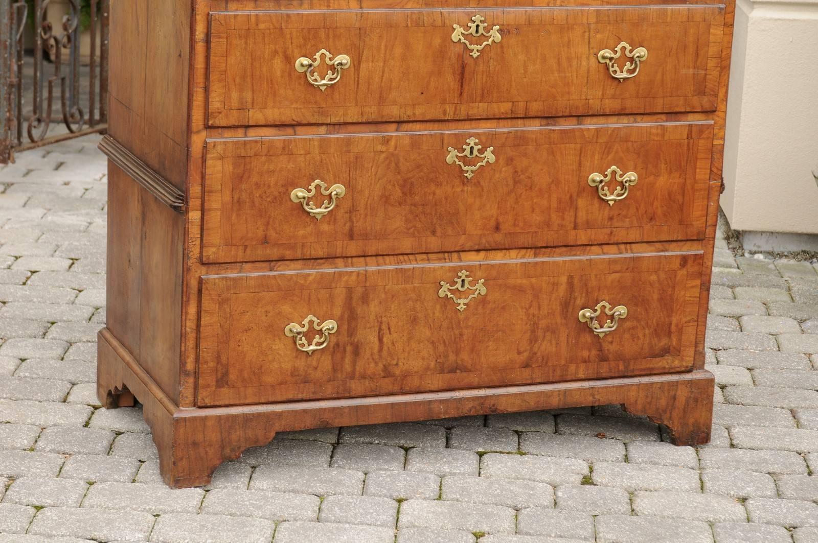 English Tall Walnut Chest from the Early 19th Century with Butterfly Veneer Top 6