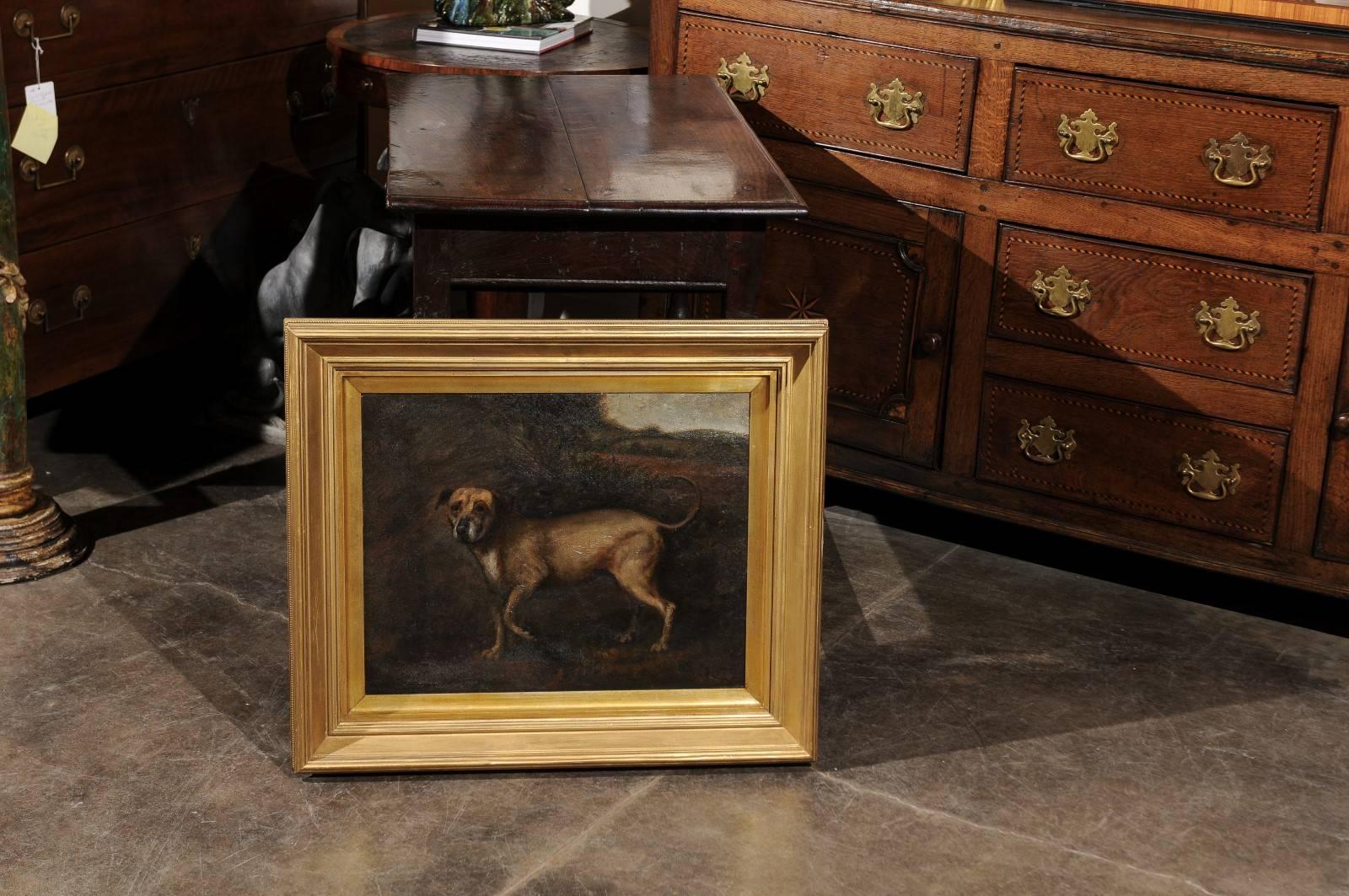 antique dog oil paintings