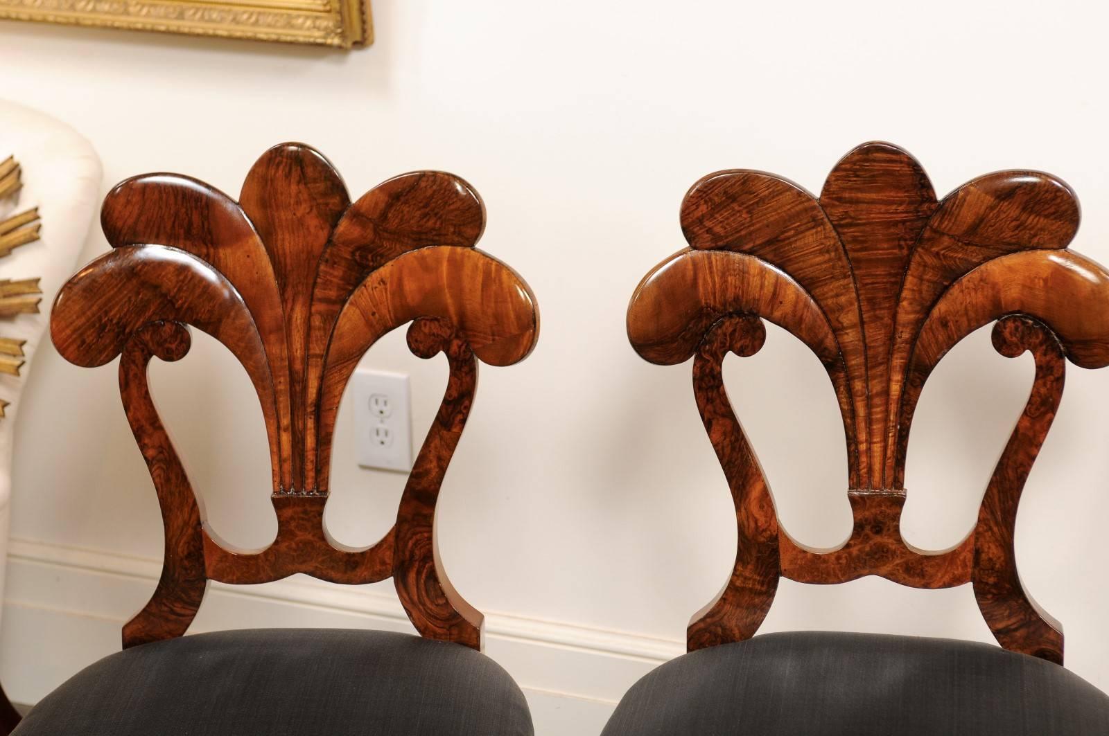 Set of Six Viennese Biedermeier Dining Chairs with Horsehair Seats, circa 1825 In Excellent Condition In Atlanta, GA