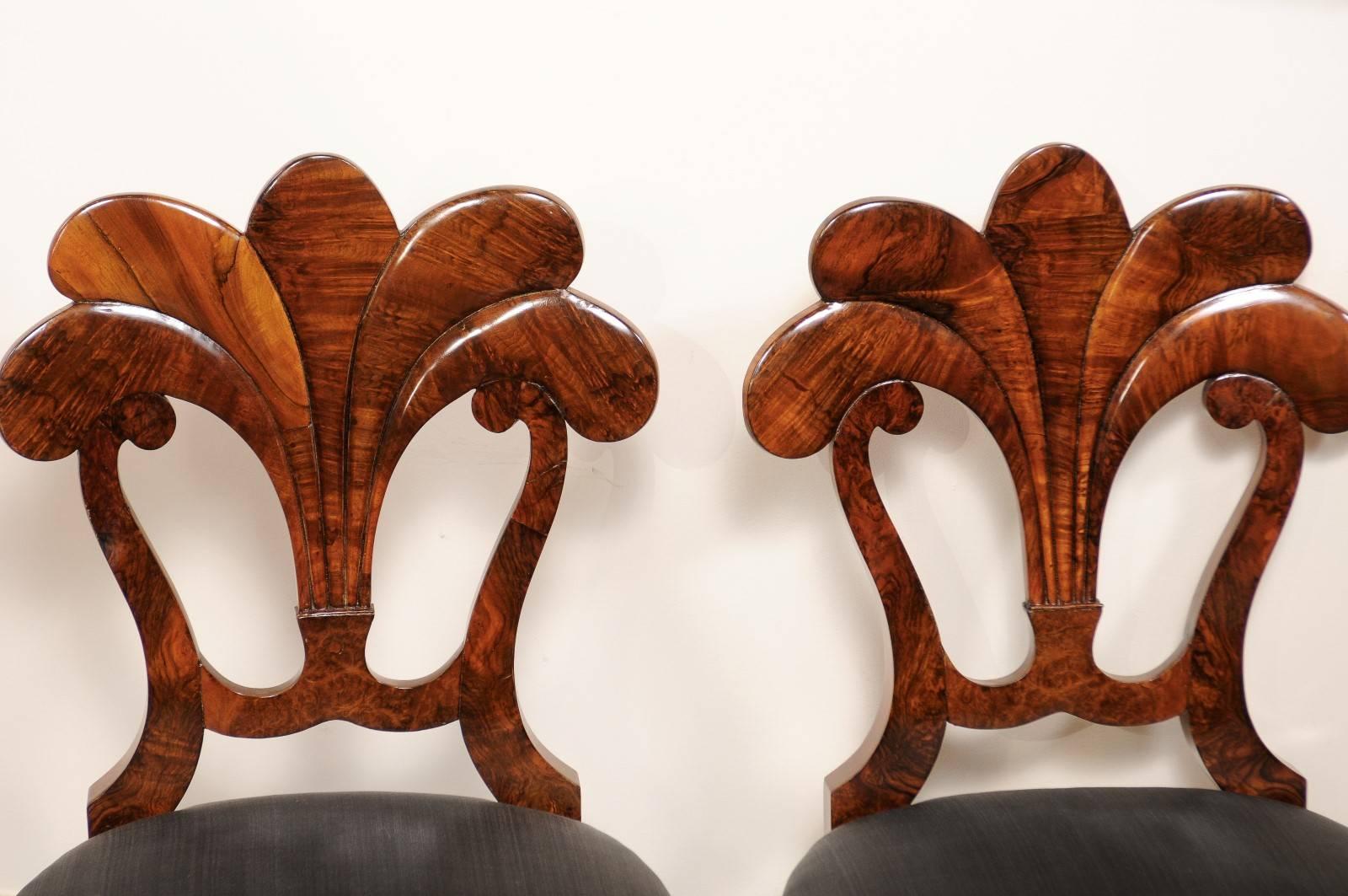 Veneer Set of Six Viennese Biedermeier Dining Chairs with Horsehair Seats, circa 1825