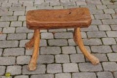 French Primitive Log Stool with Branch Legs from the Late 19th Century