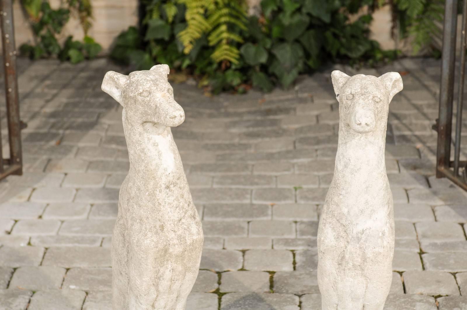 Pair of Vintage Carved Cement Greyhound Sculptures Sitting on Circular Bases In Good Condition In Atlanta, GA