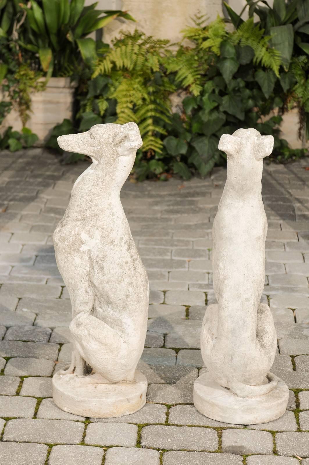 Pair of Vintage Carved Cement Greyhound Sculptures Sitting on Circular Bases 3