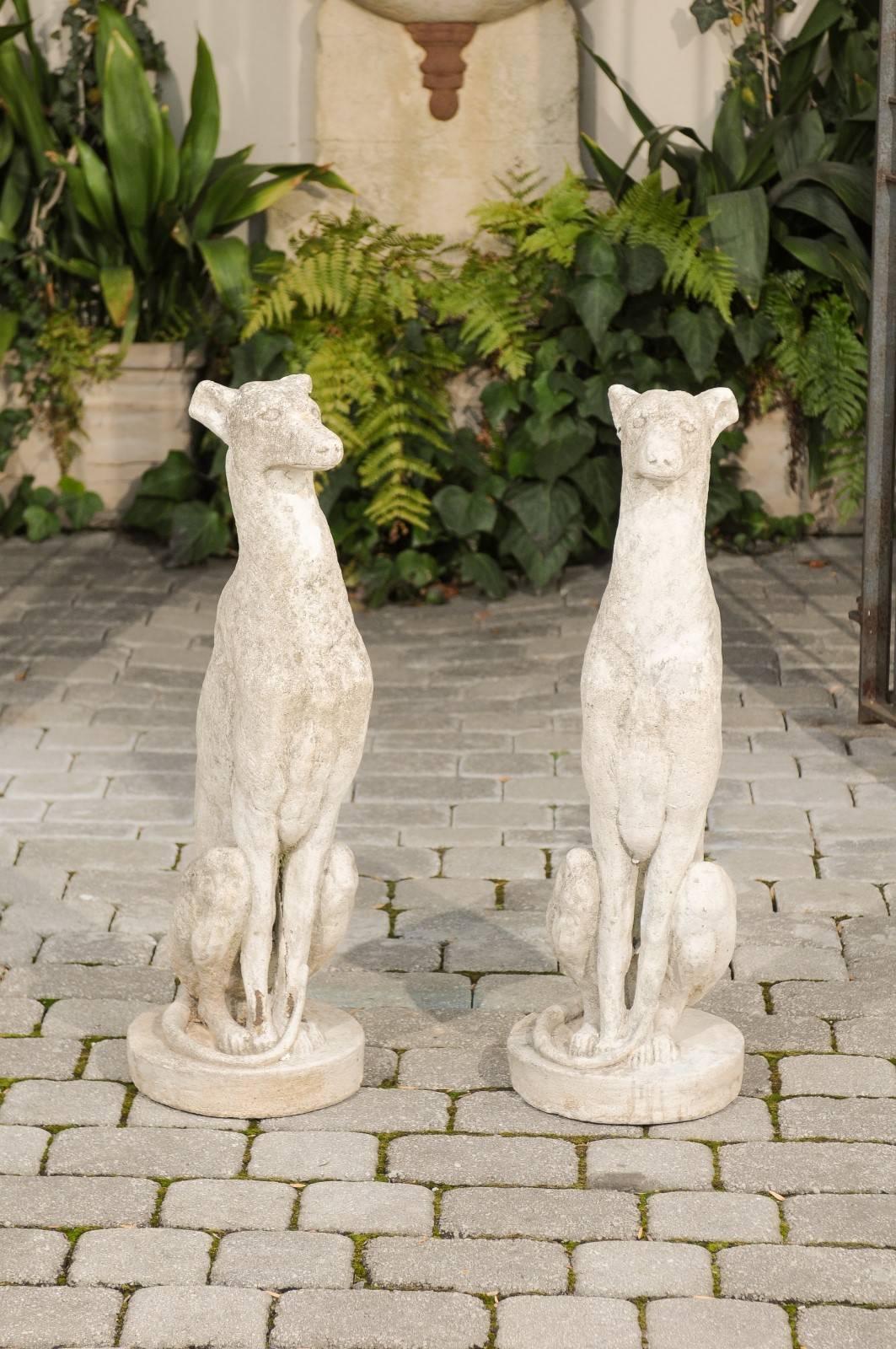 A vintage pair of carved cement greyhound sculptures from the 20th century. This pair of dog sculptures depicts each dog seating in a particularly attentive position. Sitting very straight, the loyal companions are looking straight ahead. Their