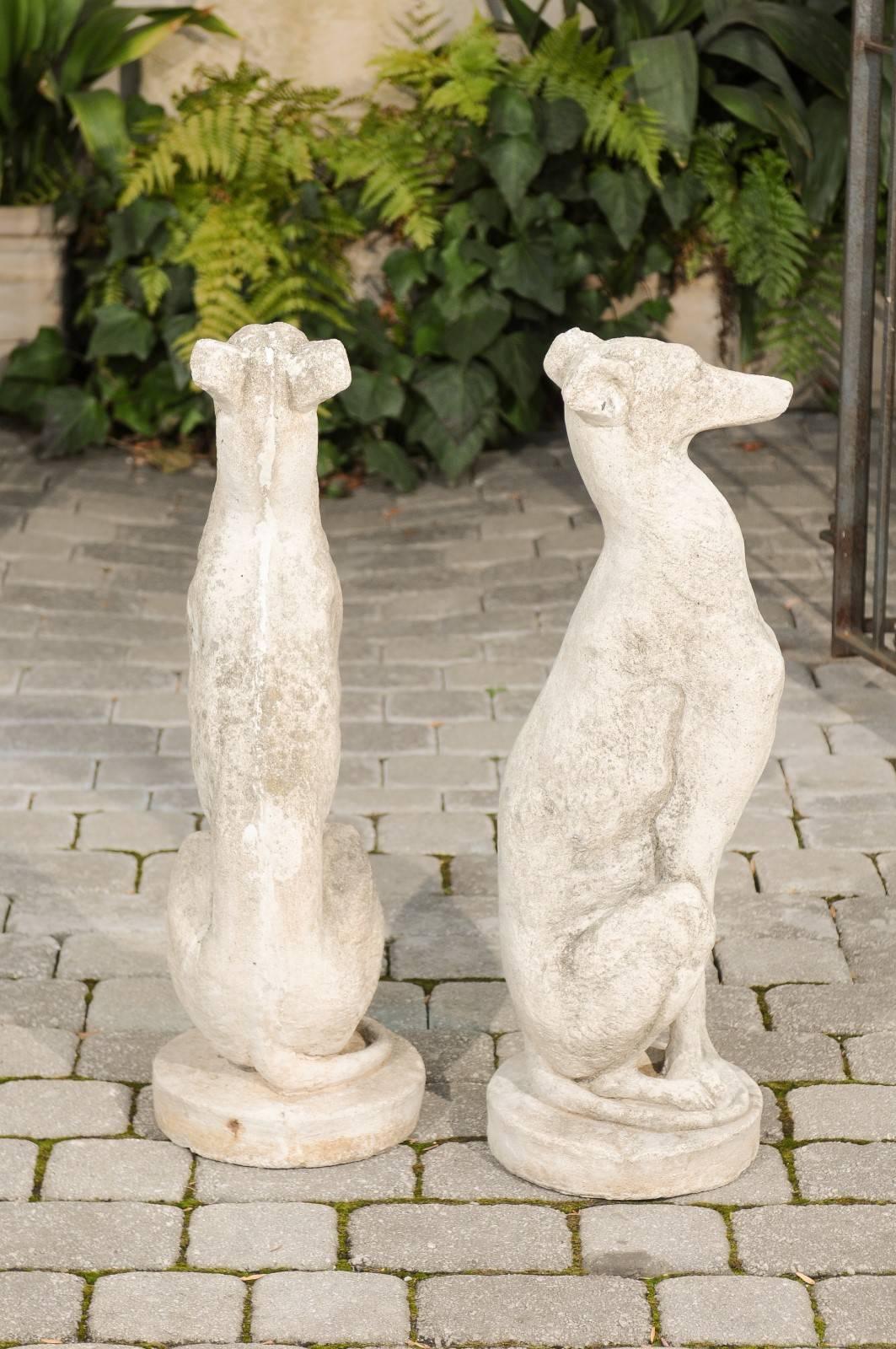 Pair of Vintage Carved Cement Greyhound Sculptures Sitting on Circular Bases 2
