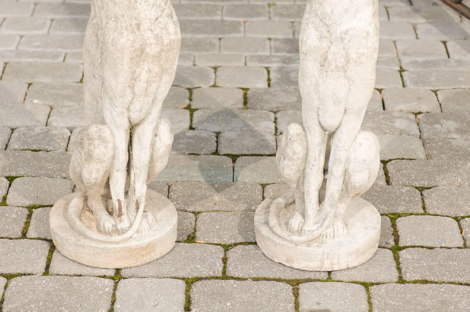 20th Century Pair of Vintage Carved Cement Greyhound Sculptures Sitting on Circular Bases
