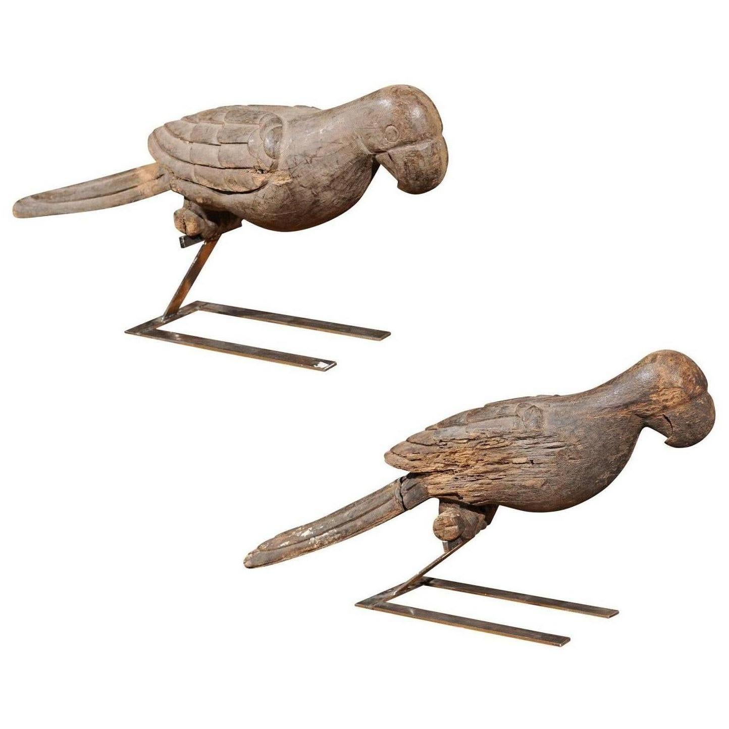 Pair of Italian Carved Wooden Parrots circa 1880, Mounted on Modern Steel Bases For Sale