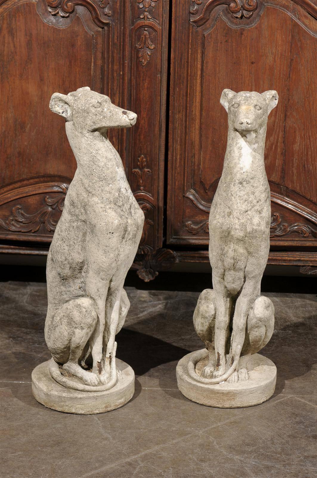 This pair of vintage carved cement greyhounds from the 20th century depicts the dogs seating in a particularly attentive position. Sitting very straight, the loyal companions are looking straight ahead. Their front paws and tails neatly tucked, each