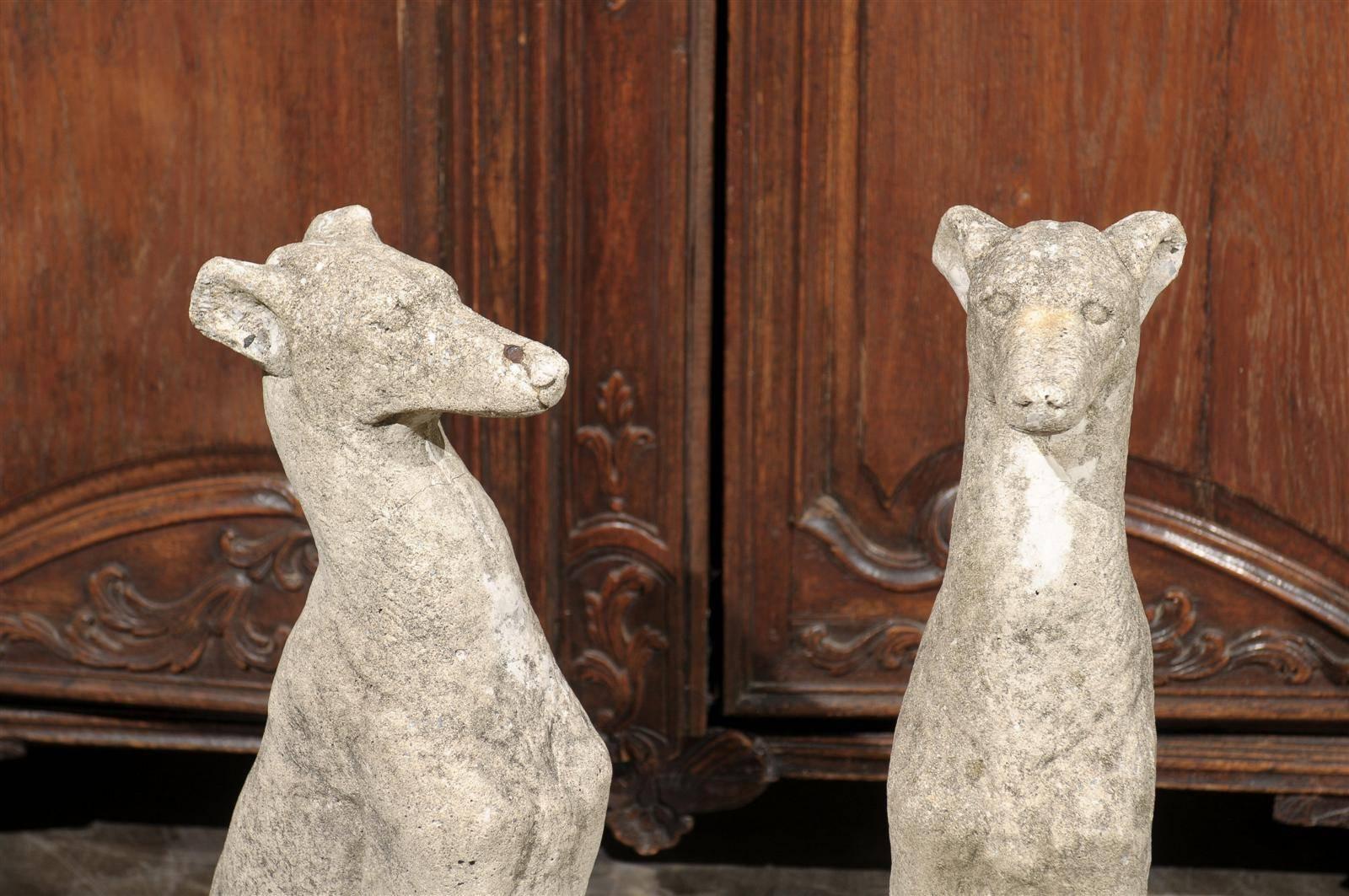 American Pair of Vintage Carved Cement Greyhound Sculptures Sitting on Circular Bases