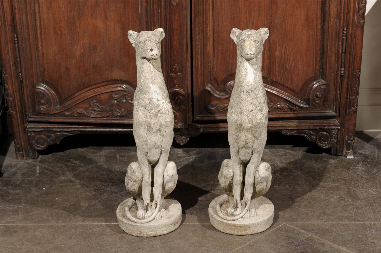 Pair of Vintage Carved Cement Greyhound Sculptures Sitting on Circular Bases 1