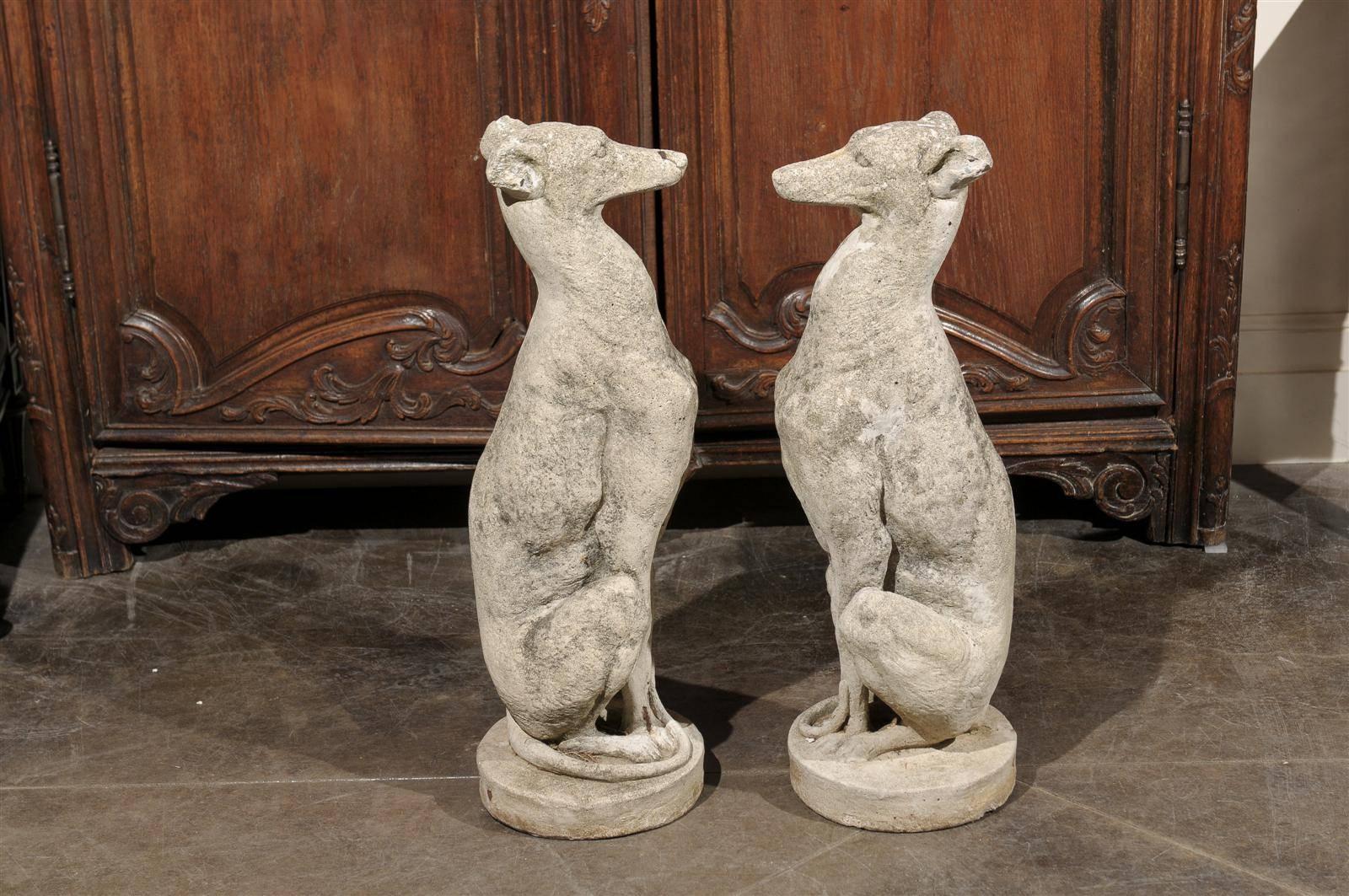 20th Century Pair of Vintage Carved Cement Greyhound Sculptures Sitting on Circular Bases