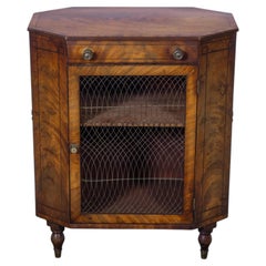 English Regency Period Mahogany Side Cabinet with Metal Grille Door