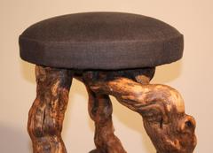 Pair of Grape Vine Bar Stools