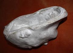 Napoleon Death Mask, Late 19th Century Casting