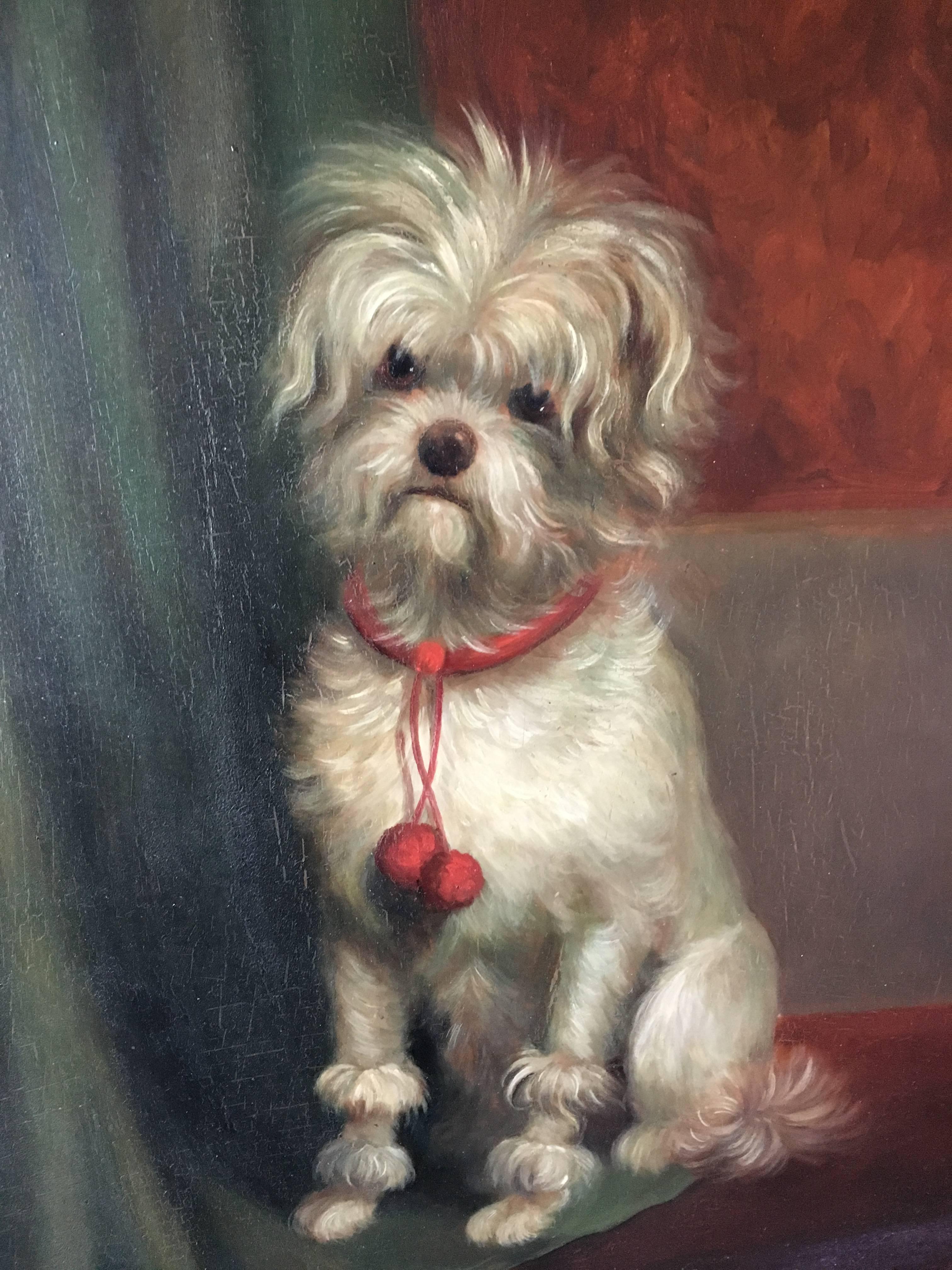 English Adorable Painting of a Maltese Dog, 19th Century