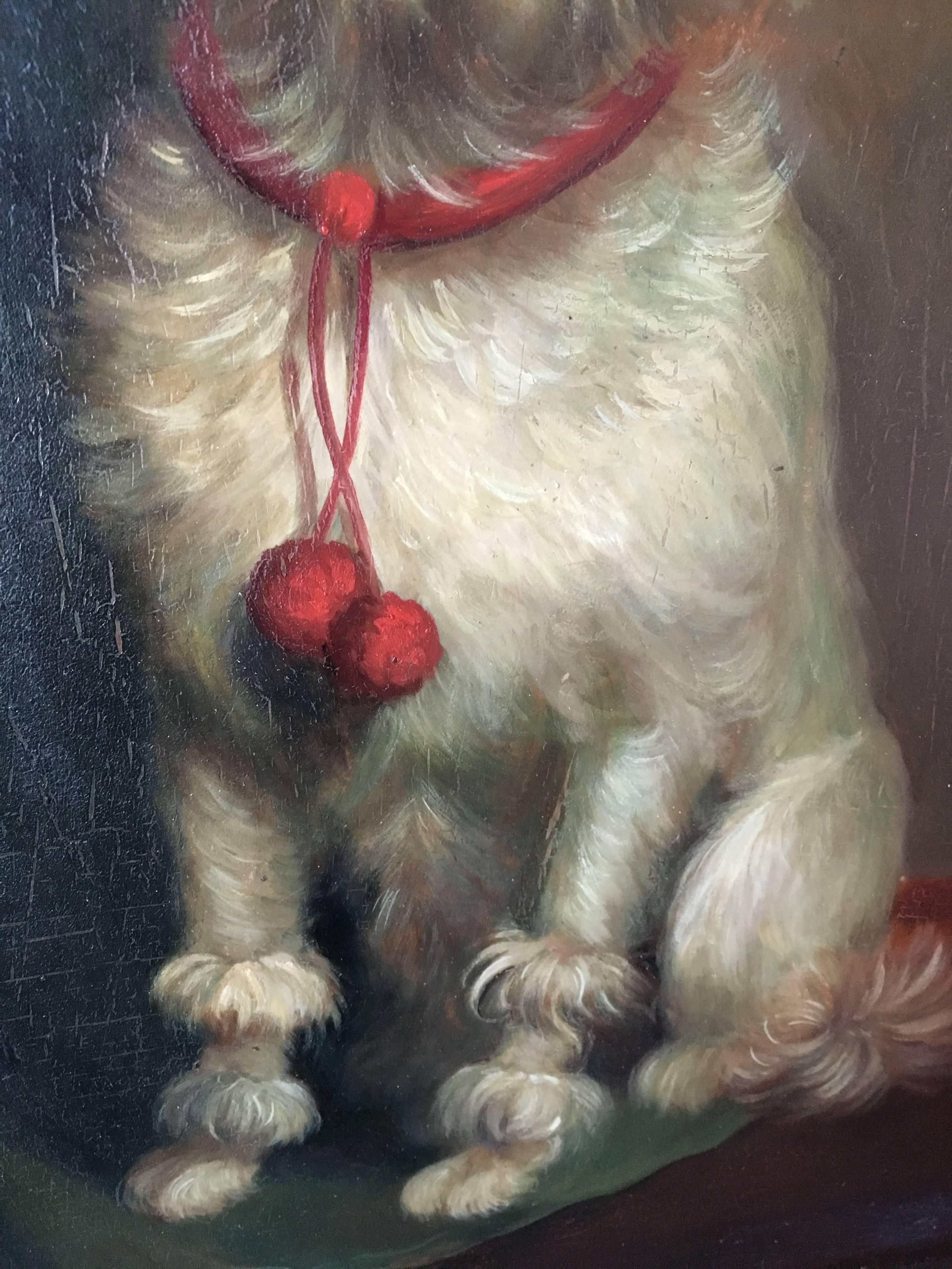 Painted Adorable Painting of a Maltese Dog, 19th Century