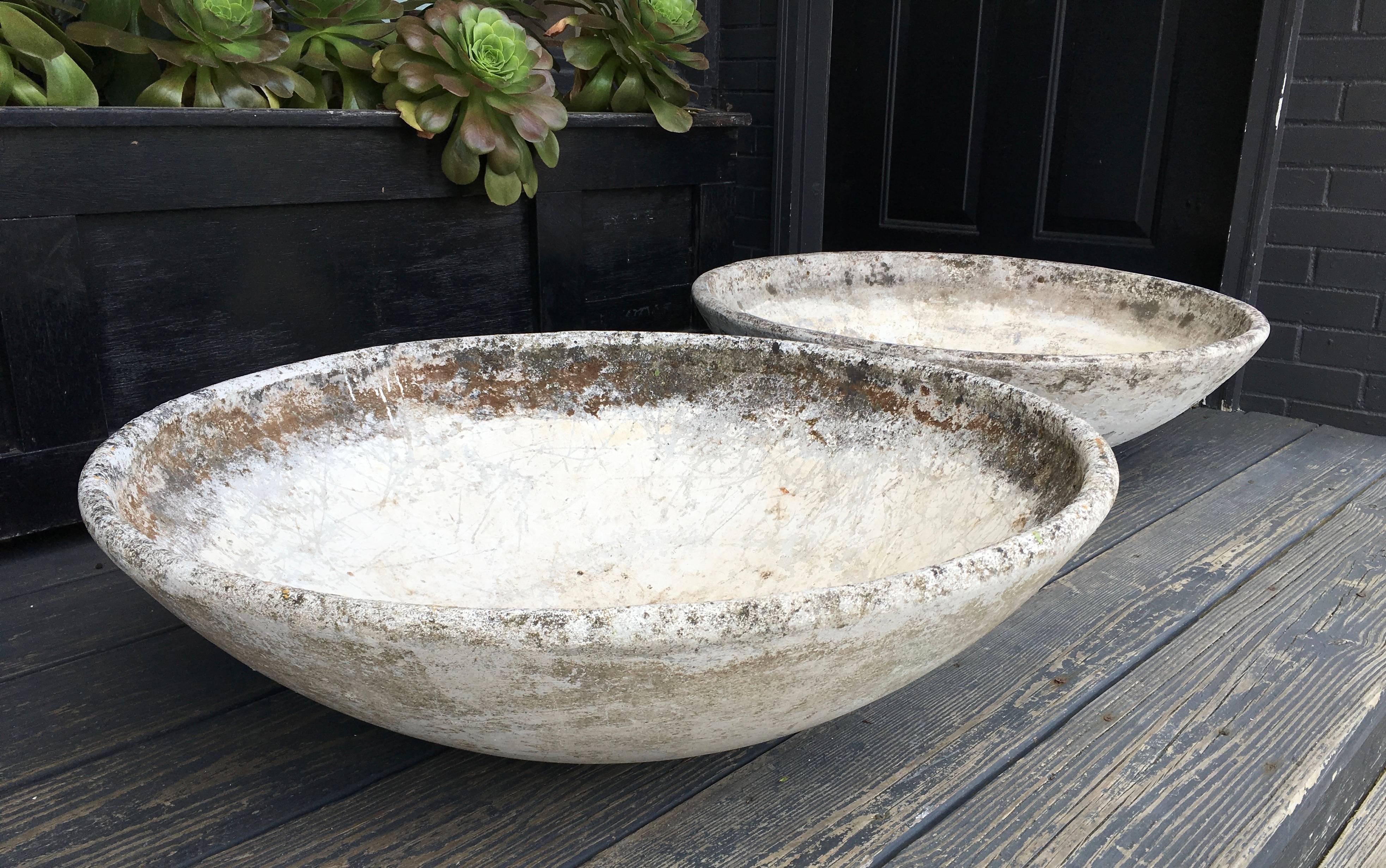 A striking pair of Willy Guhl designed planters in fiber and cement (very solid, yet relatively lightweight and easy to move), of shallow bowl form with wonderful patina, each pre-drilled with drainage holes. Made by Eternit, Switzerland.