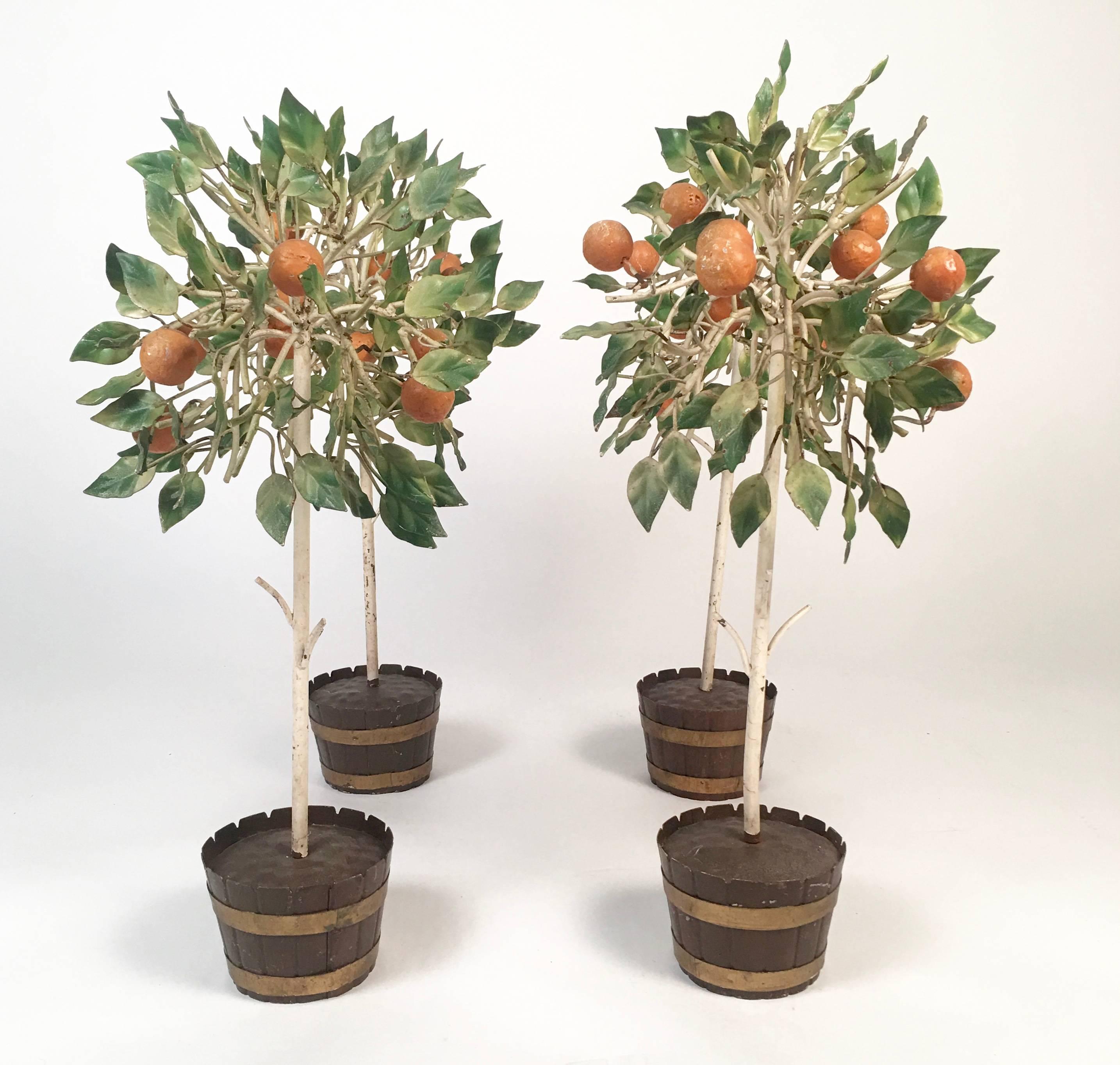 orange tree planters