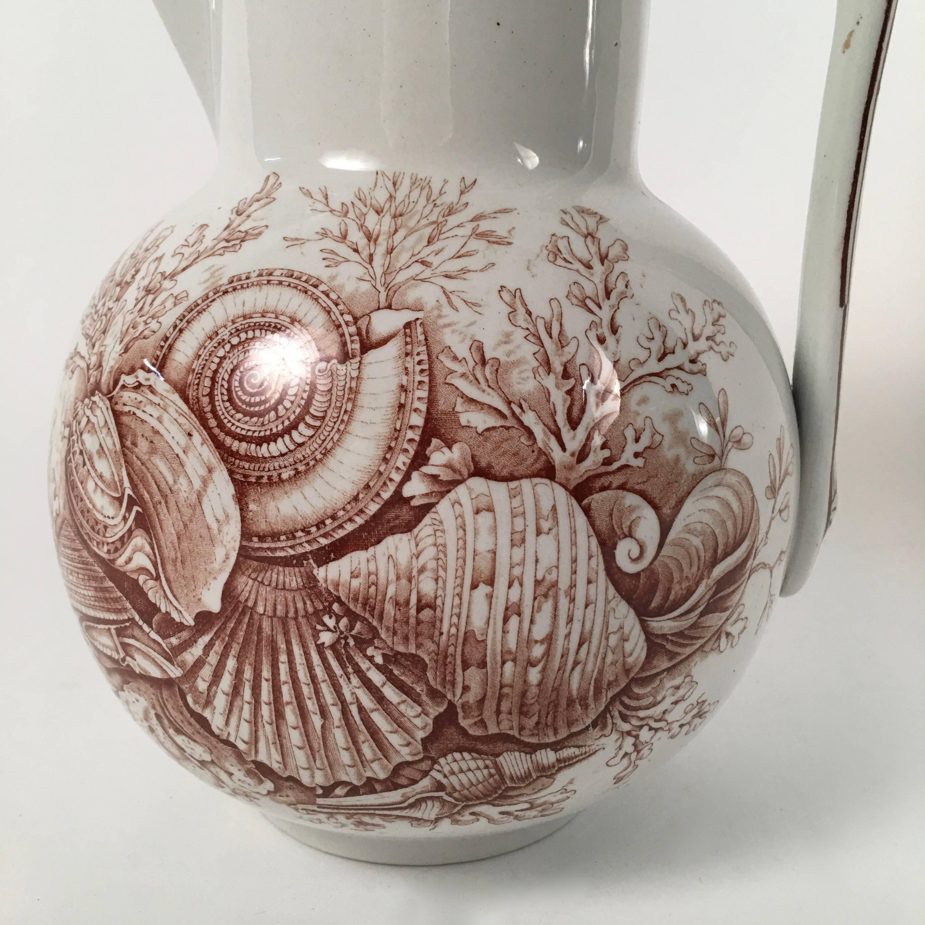 sea shell pottery