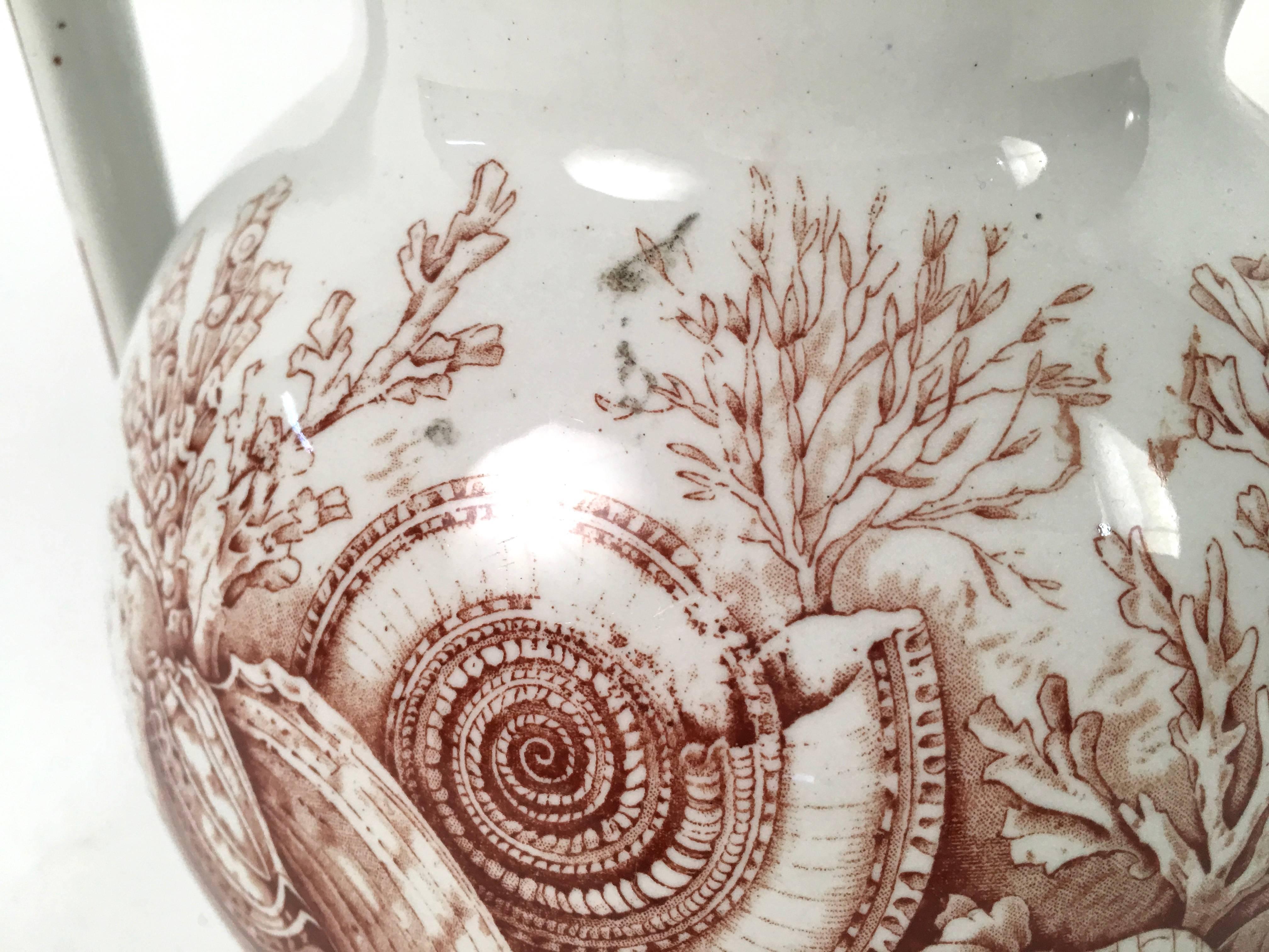British 19th Century Staffordshire Pottery Sea Shell Decorated Pitcher