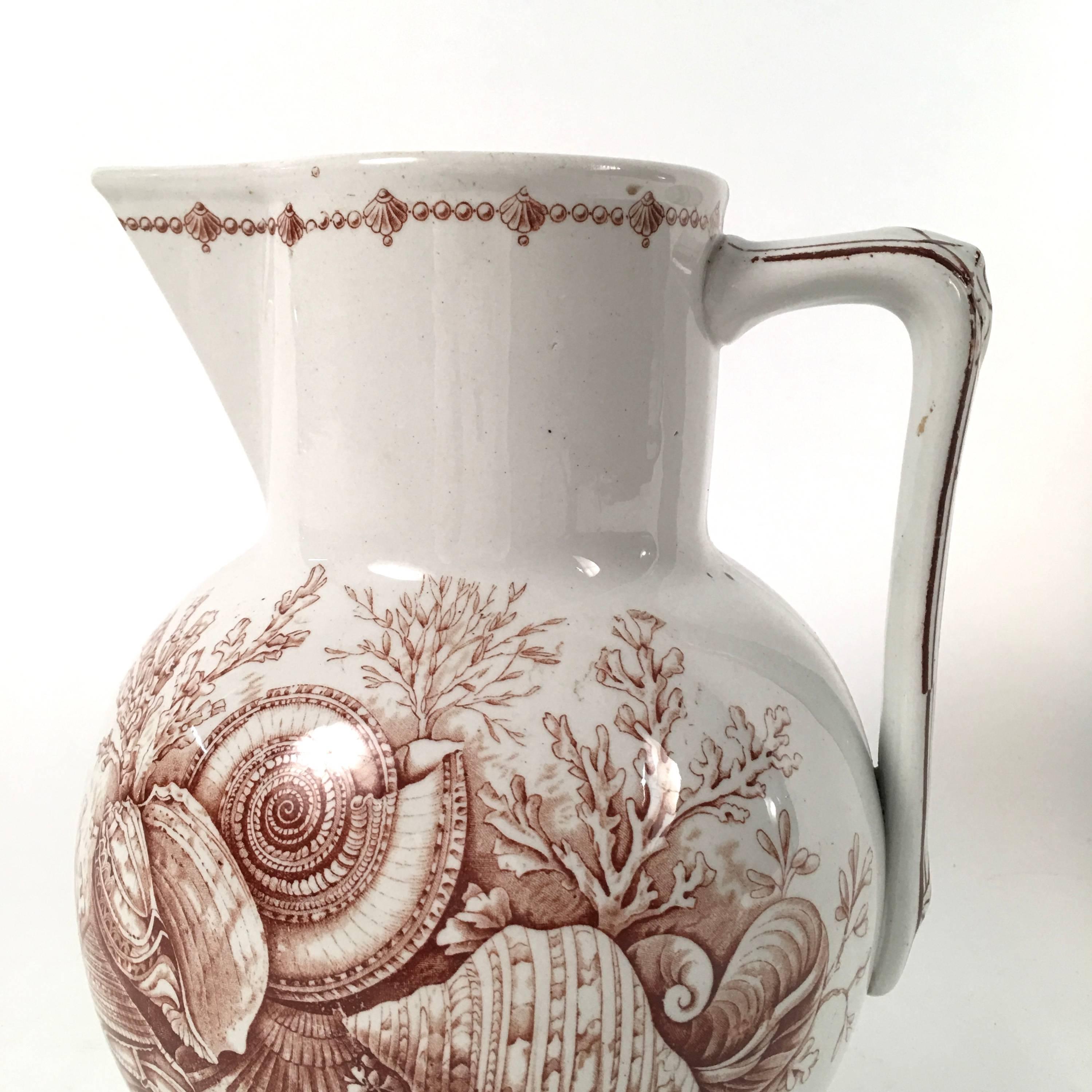 Glazed 19th Century Staffordshire Pottery Sea Shell Decorated Pitcher