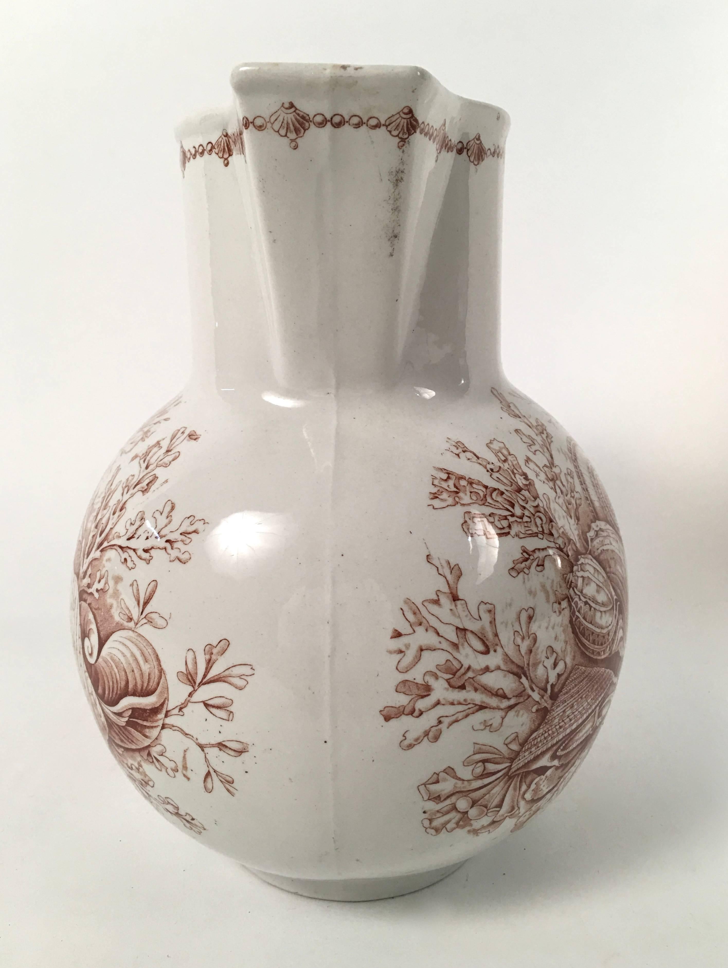 Earthenware 19th Century Staffordshire Pottery Sea Shell Decorated Pitcher