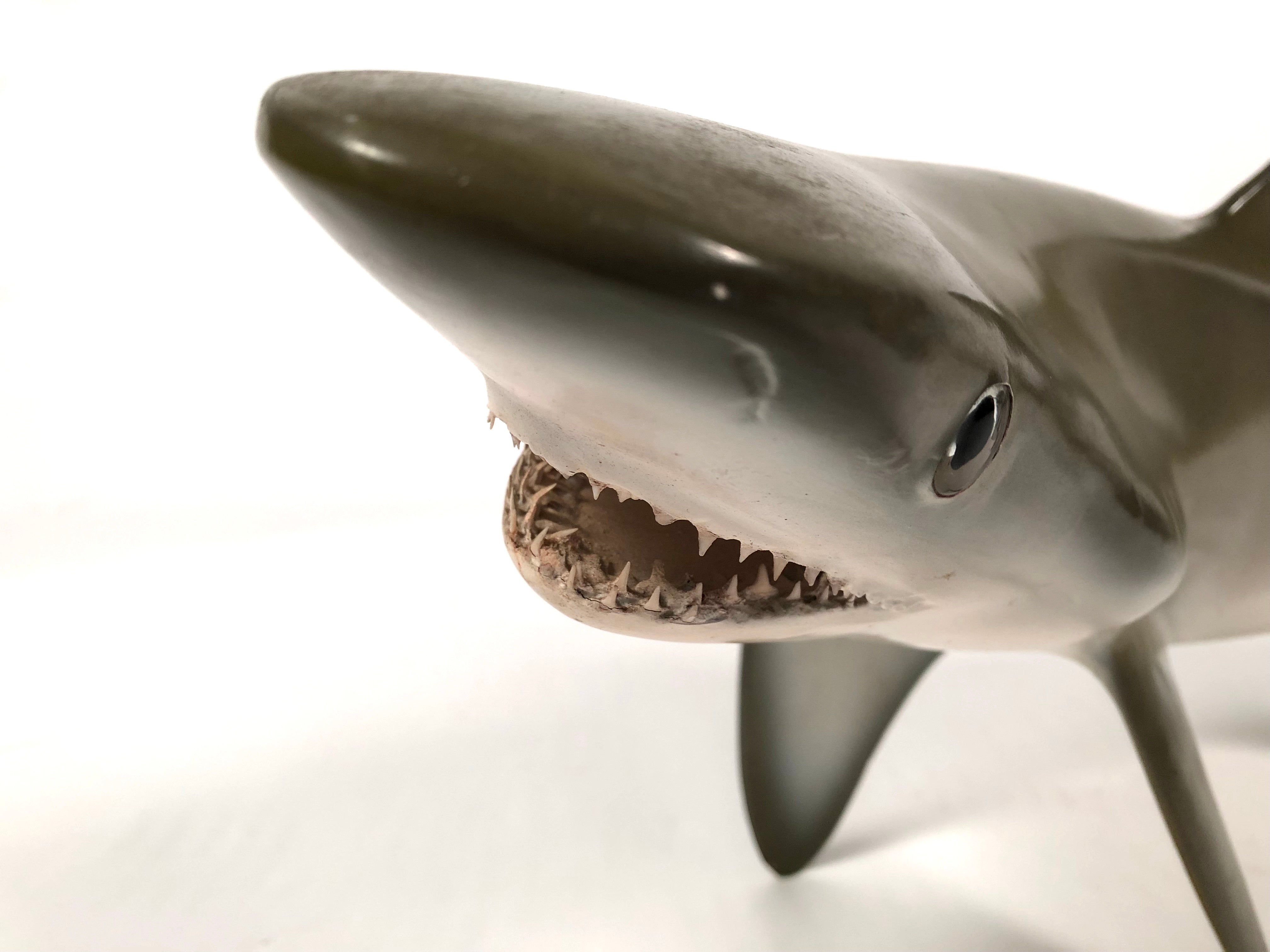 sand tiger shark toy