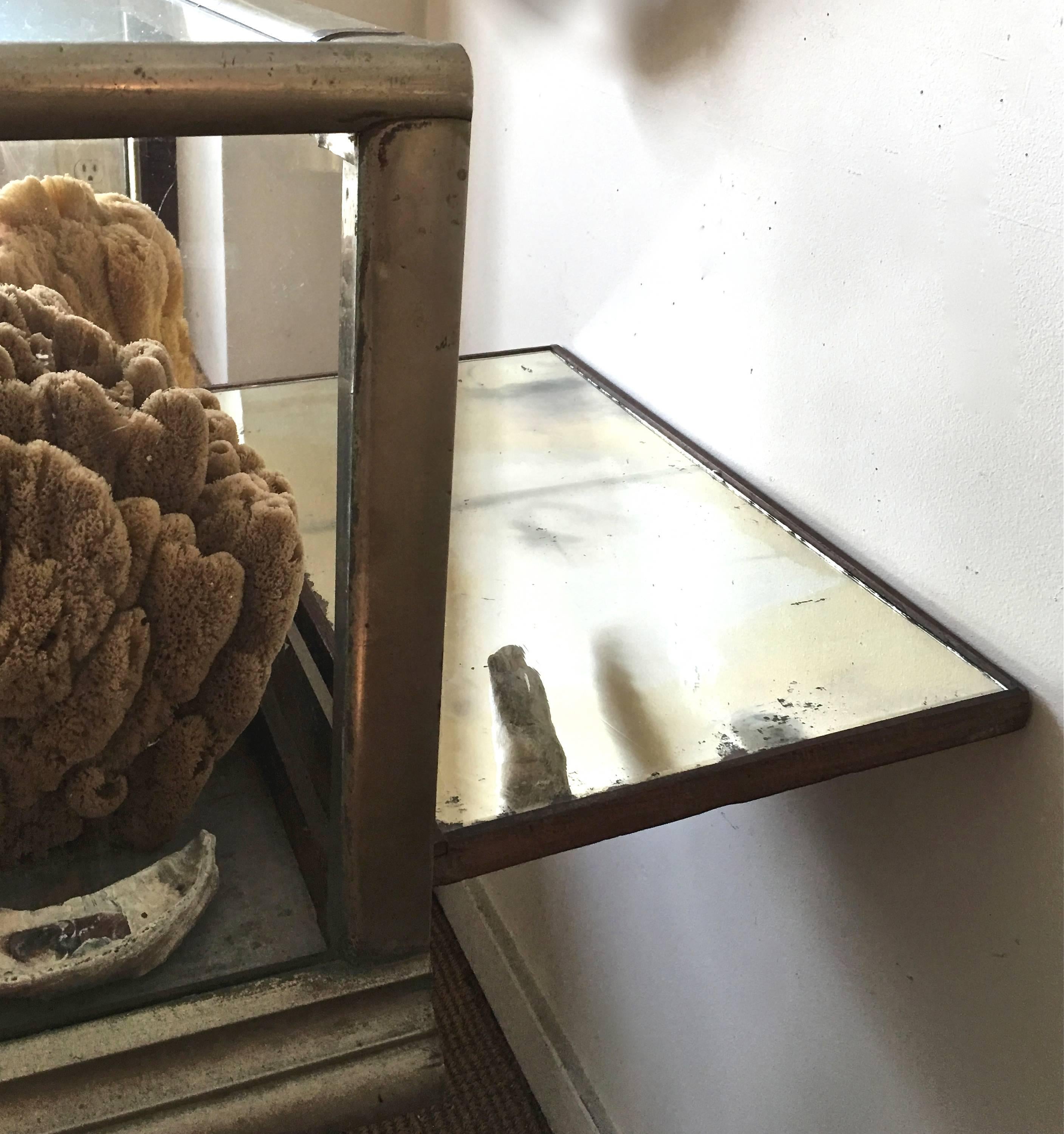 Large 19th Century Display Case Filled with Sponges and Coral 4